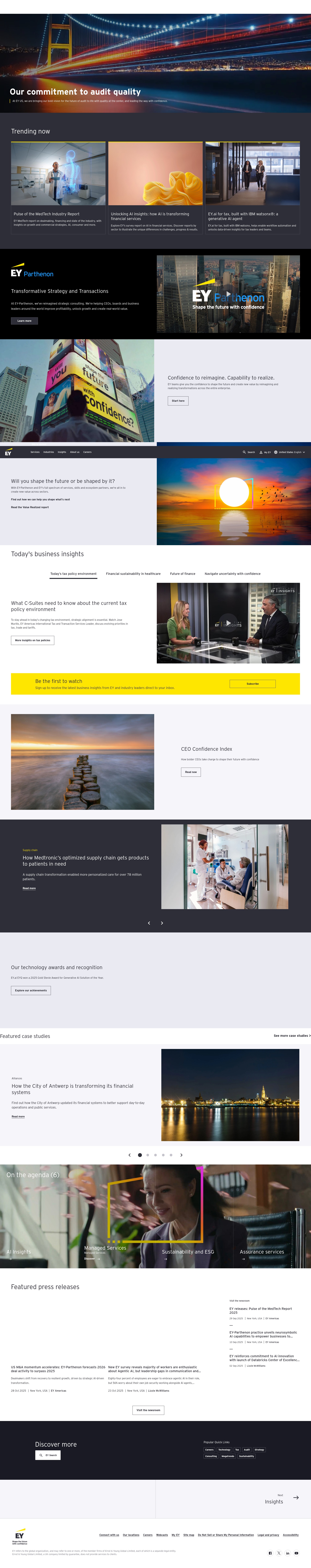 Screenshot of www.ey.com