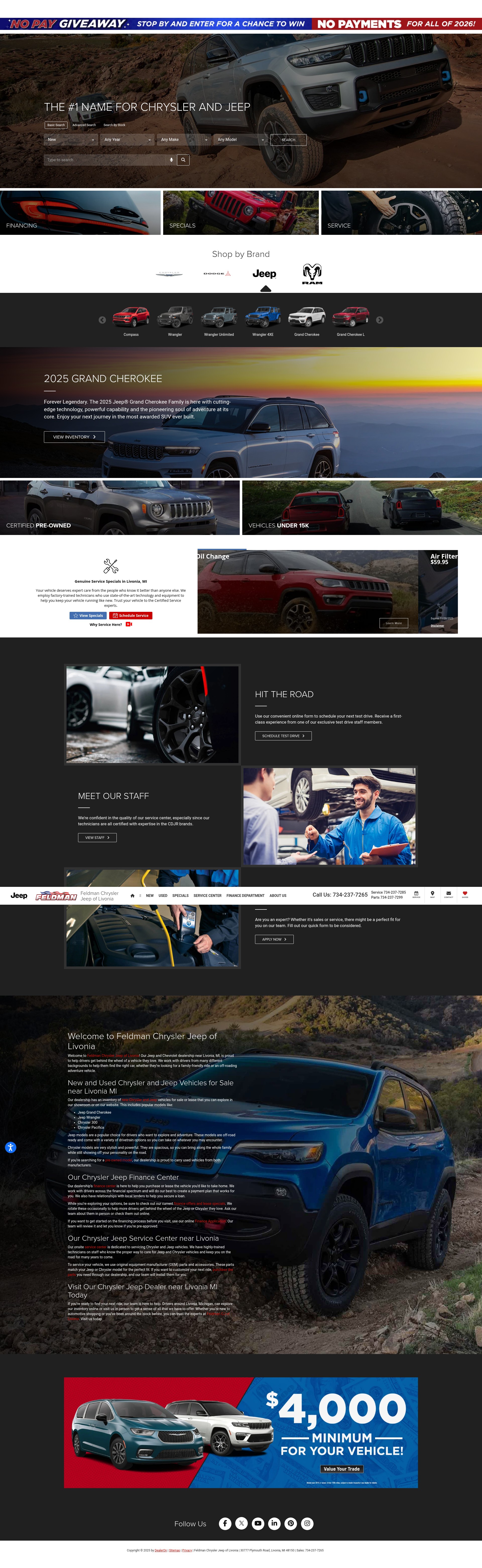 Screenshot of www.feldmancjoflivonia.com