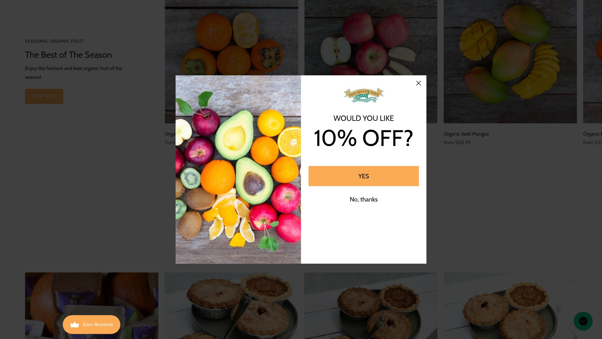 Screenshot of www.froghollow.com