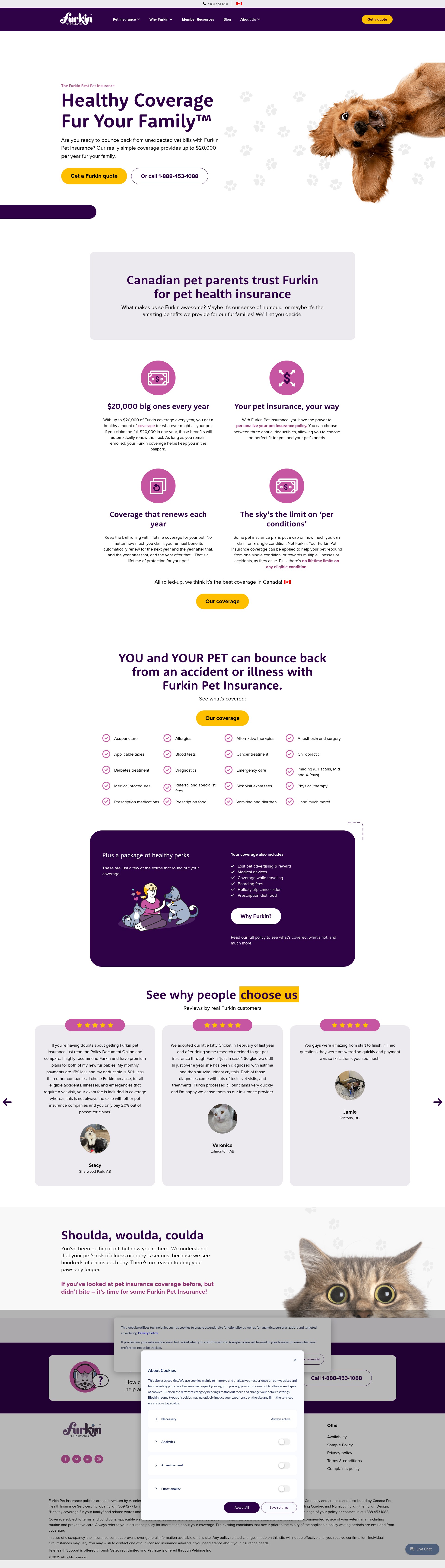 Screenshot of www.furkin.com