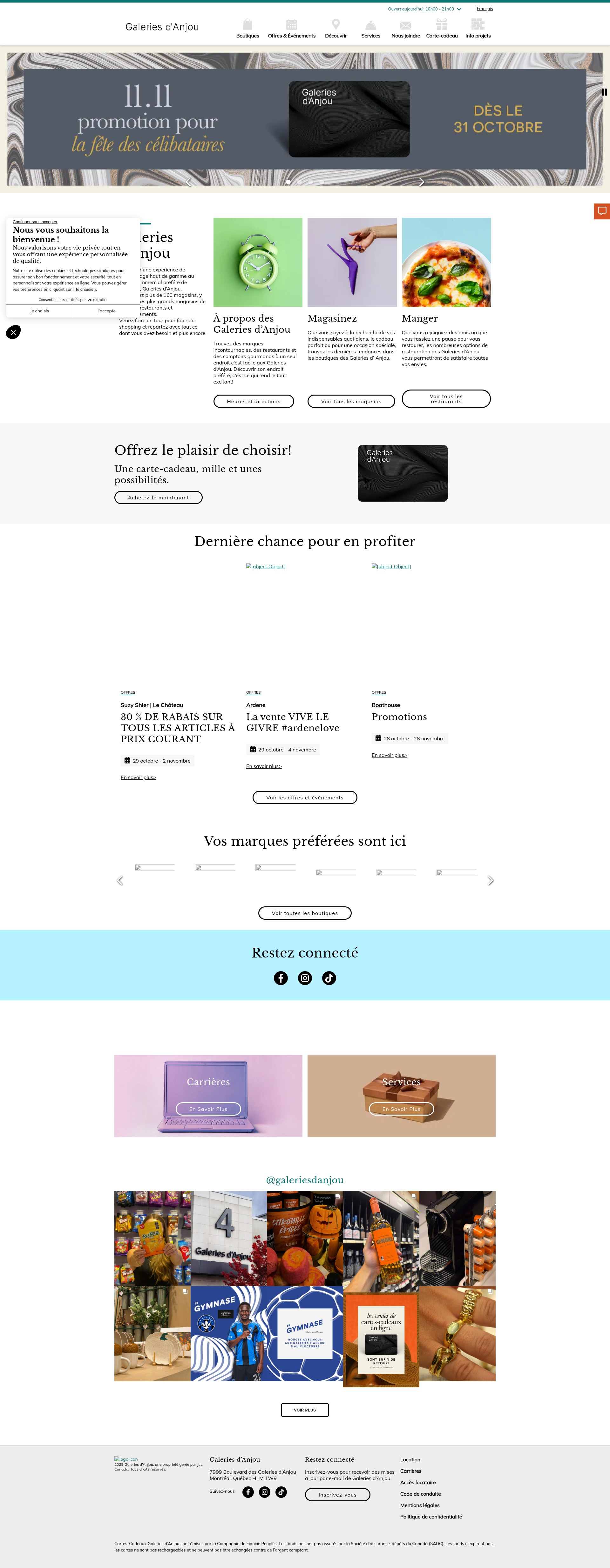 Screenshot of www.galeriesdanjou.com