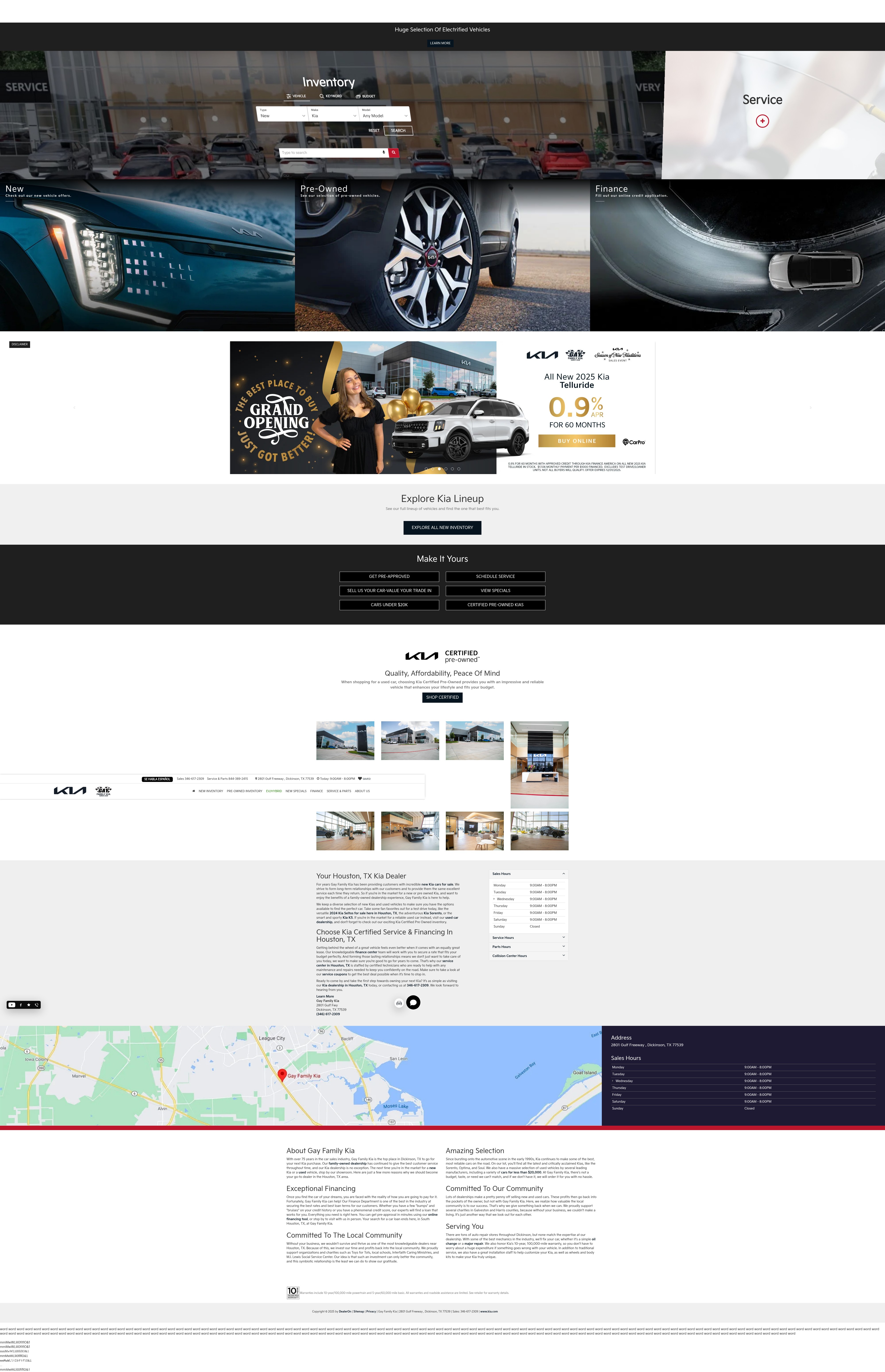 Screenshot of www.gayfamilykia.com