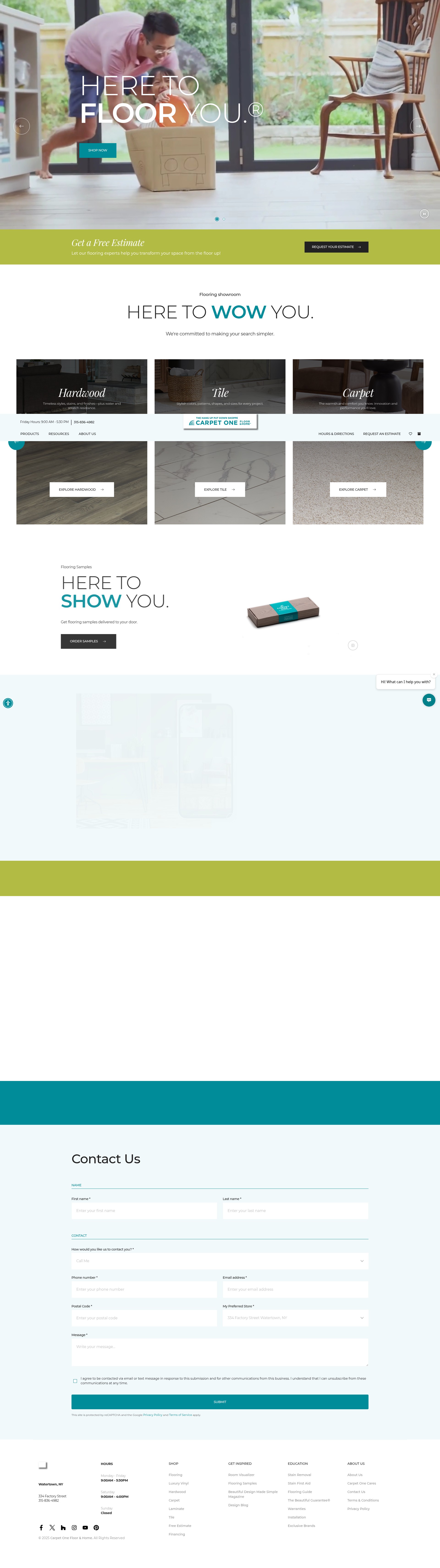 Screenshot of www.hangupputdowncarpetonewatertown.com