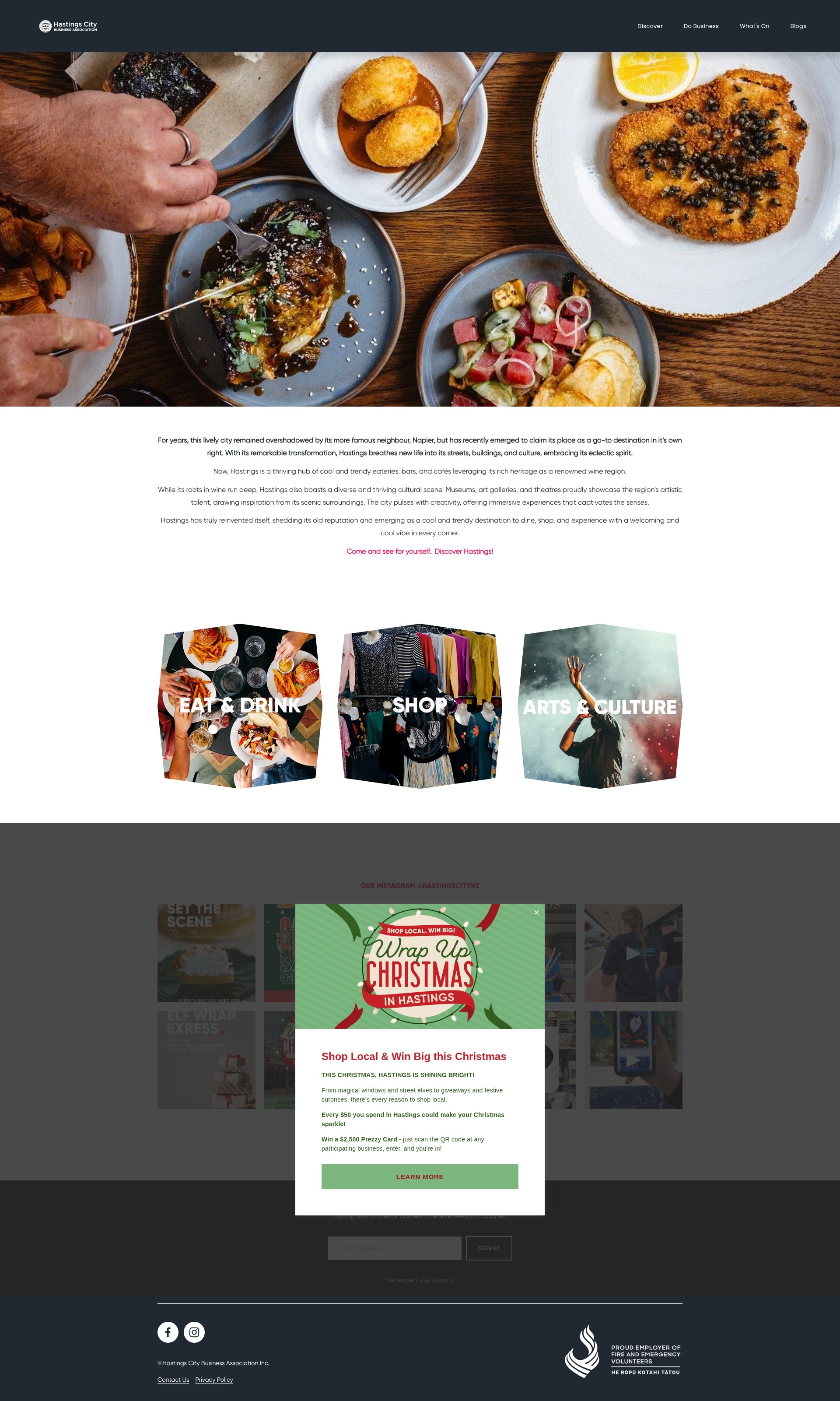 Screenshot of www.hastingscity.co.nz