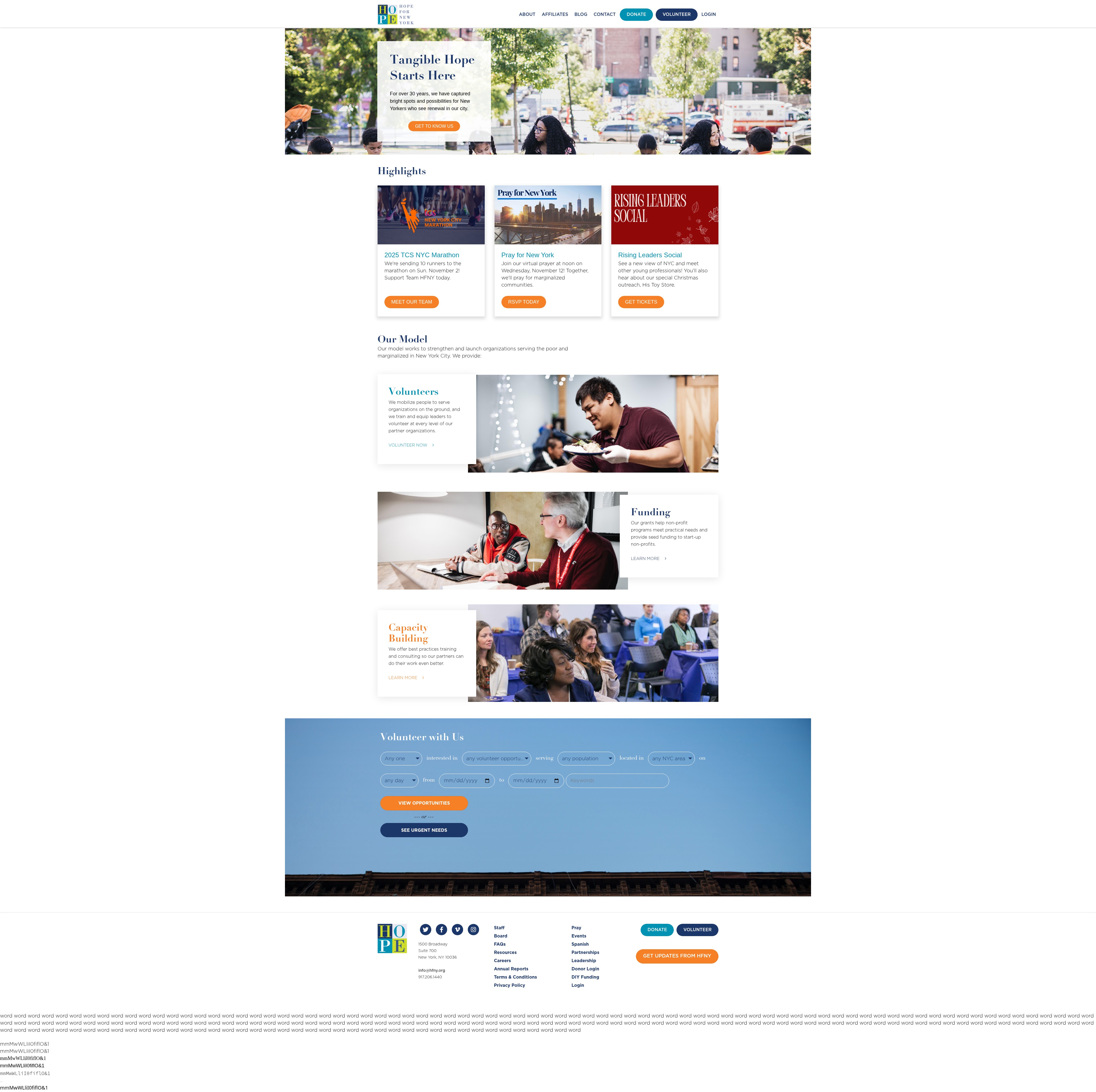 Screenshot of www.hfny.org