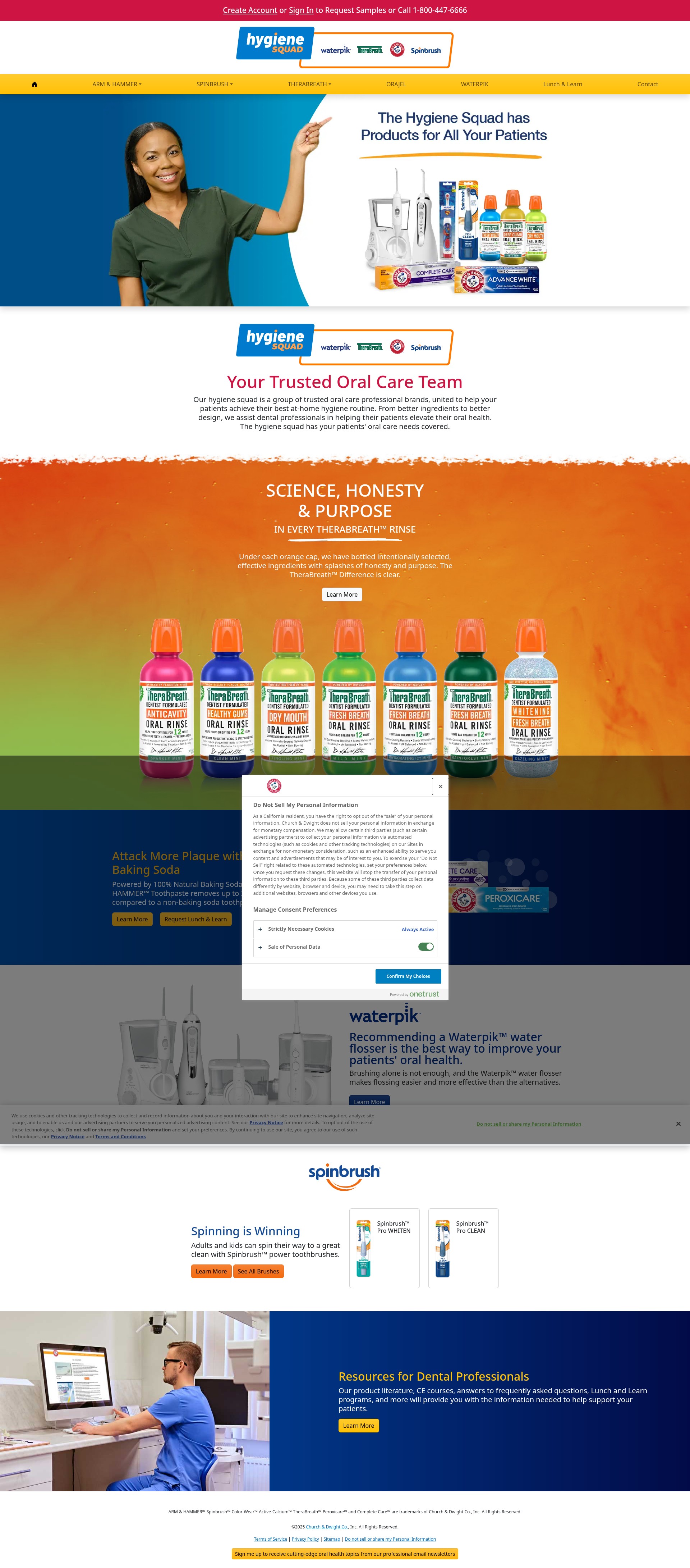 Screenshot of www.hygienesquad.com