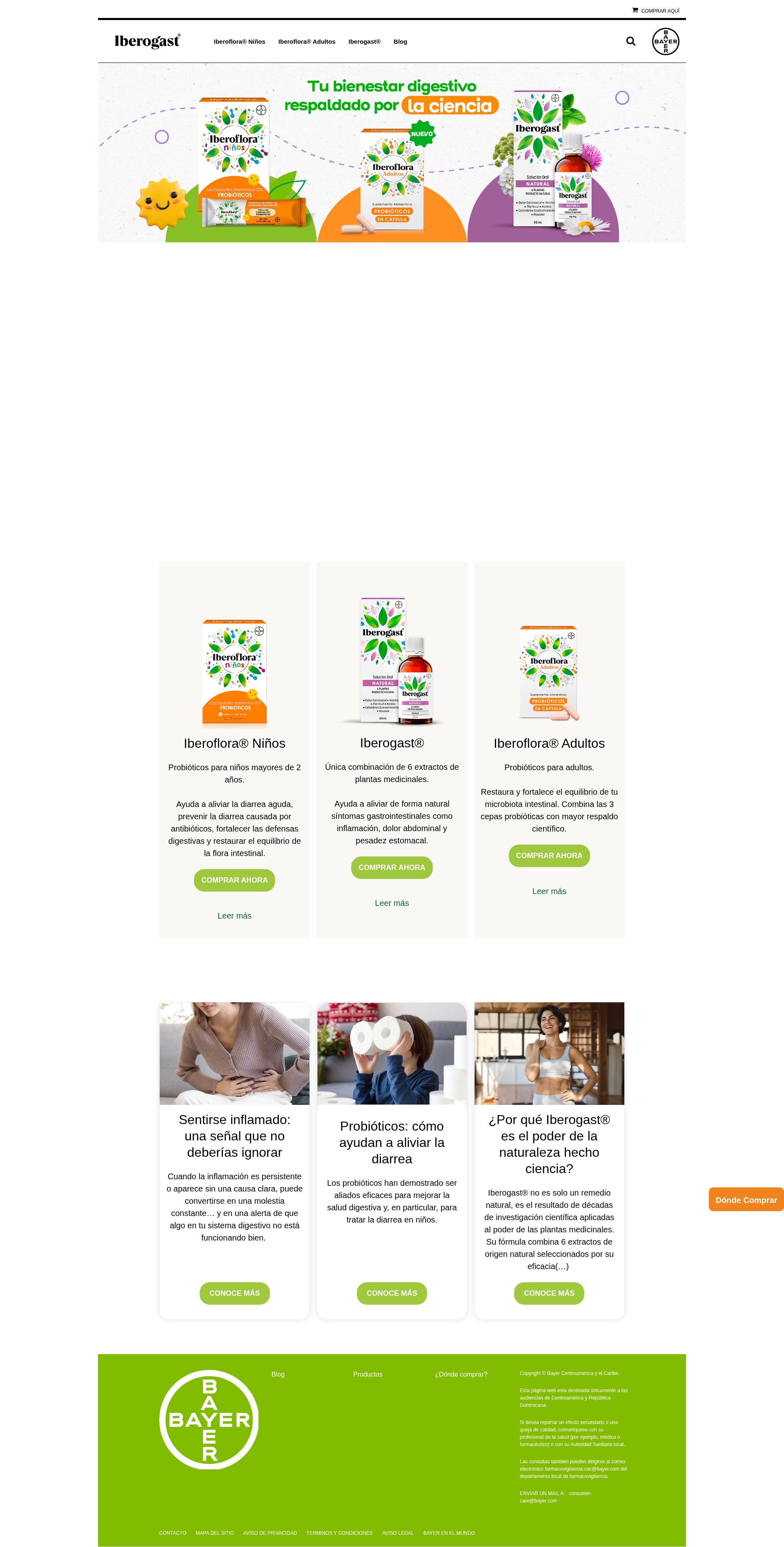 Screenshot of www.iberodigestivo.com