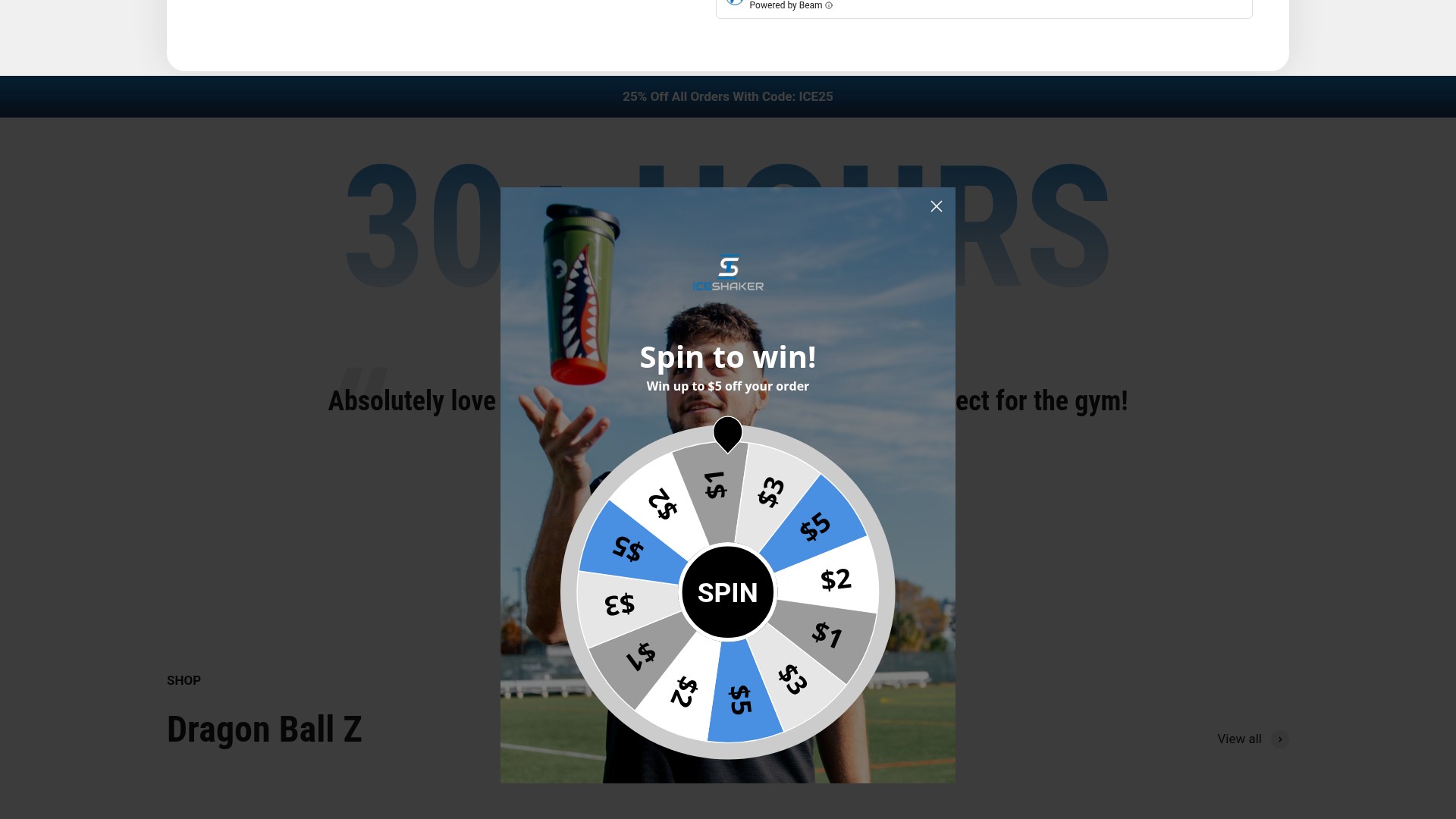Screenshot of www.iceshaker.com