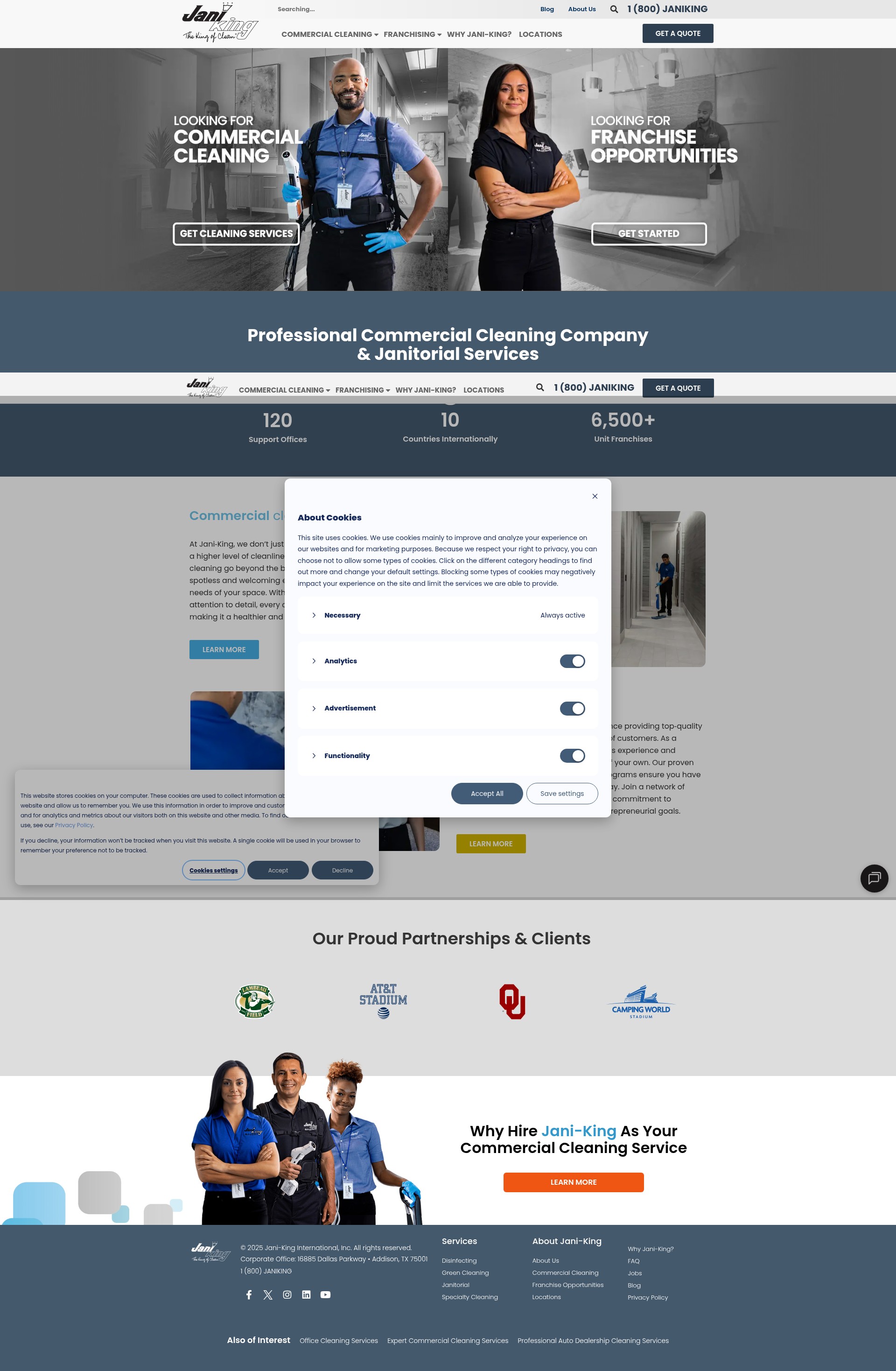 Screenshot of www.janiking.com