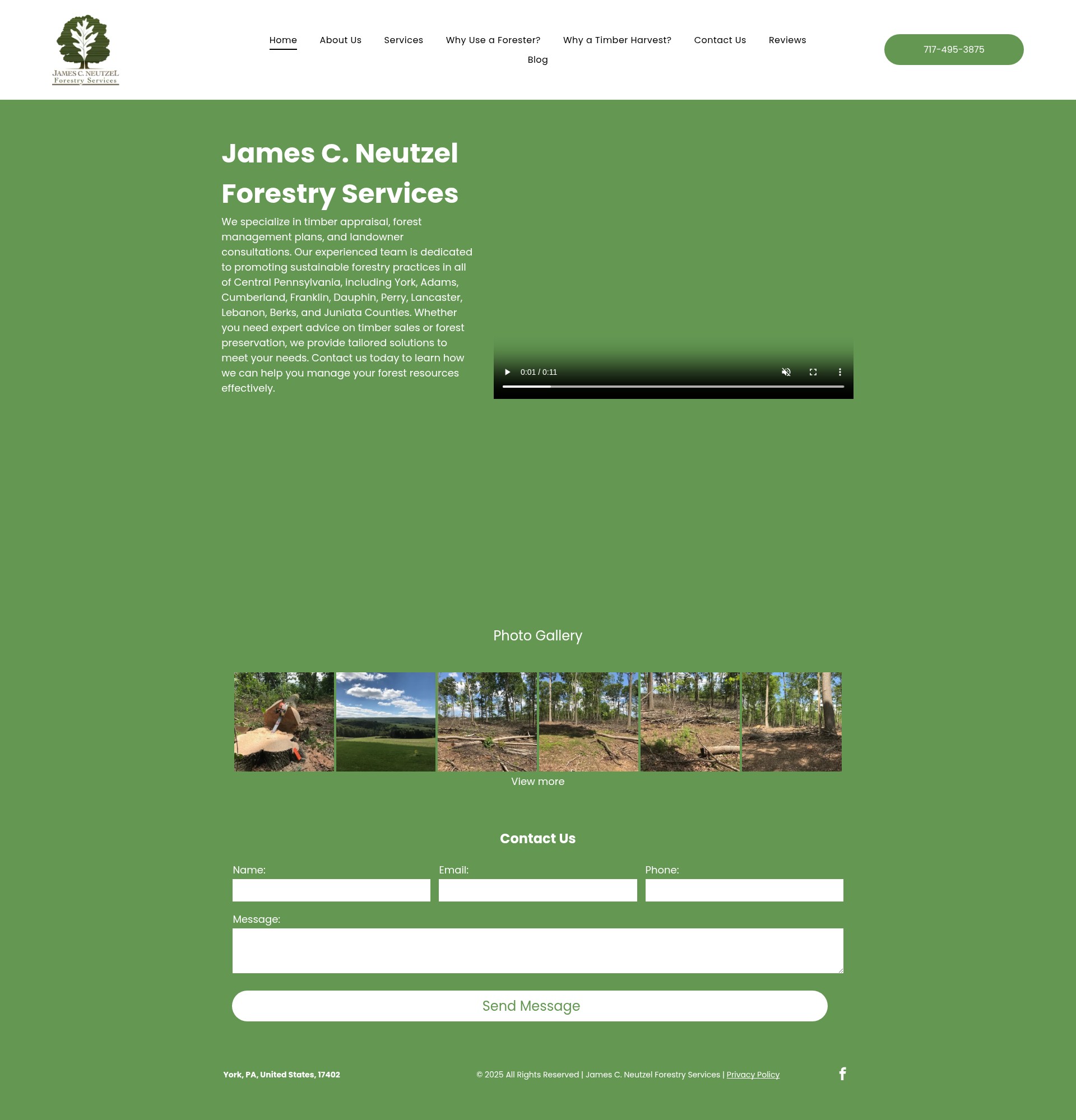Screenshot of www.jneutzelforestryservice.com