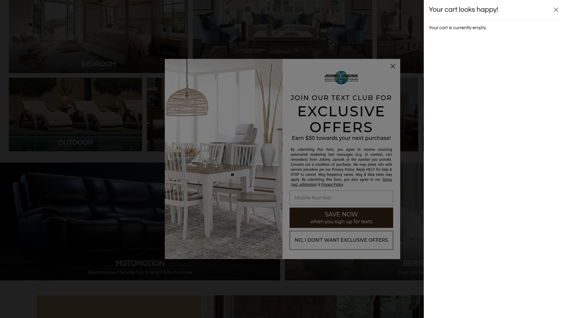 Screenshot of www.johnnyjanosik.com