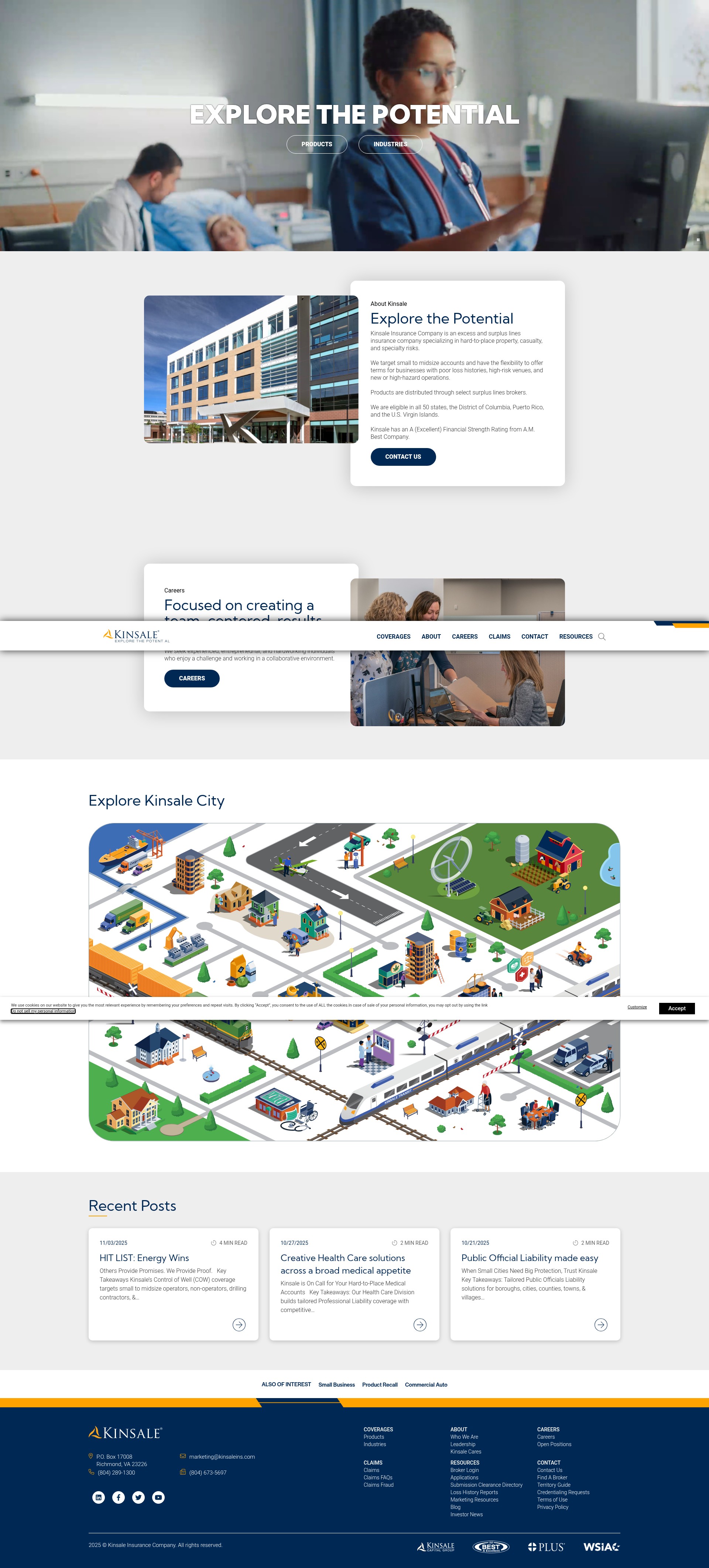 Screenshot of www.kinsaleins.com