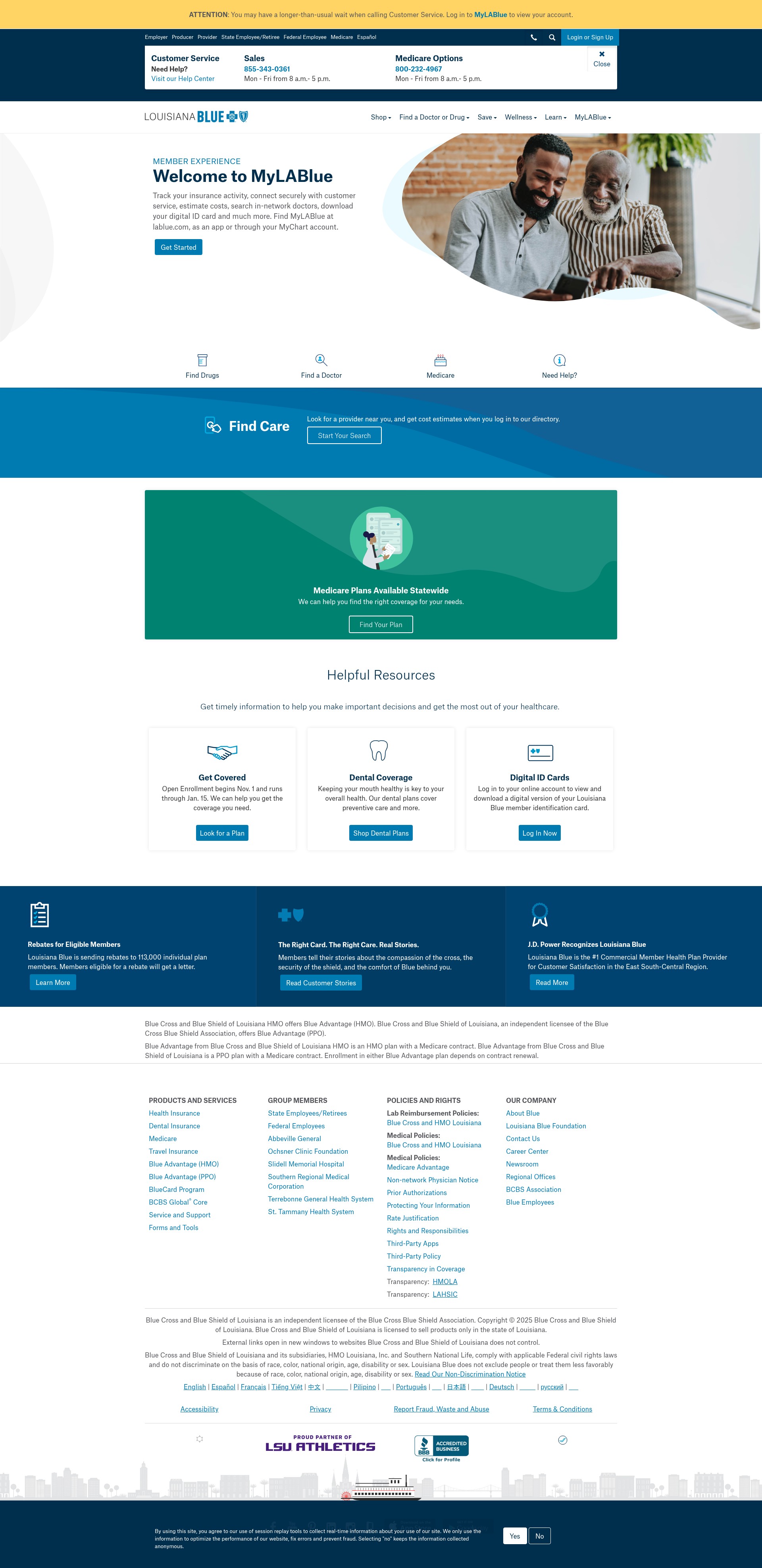 Screenshot of www.lablue.com