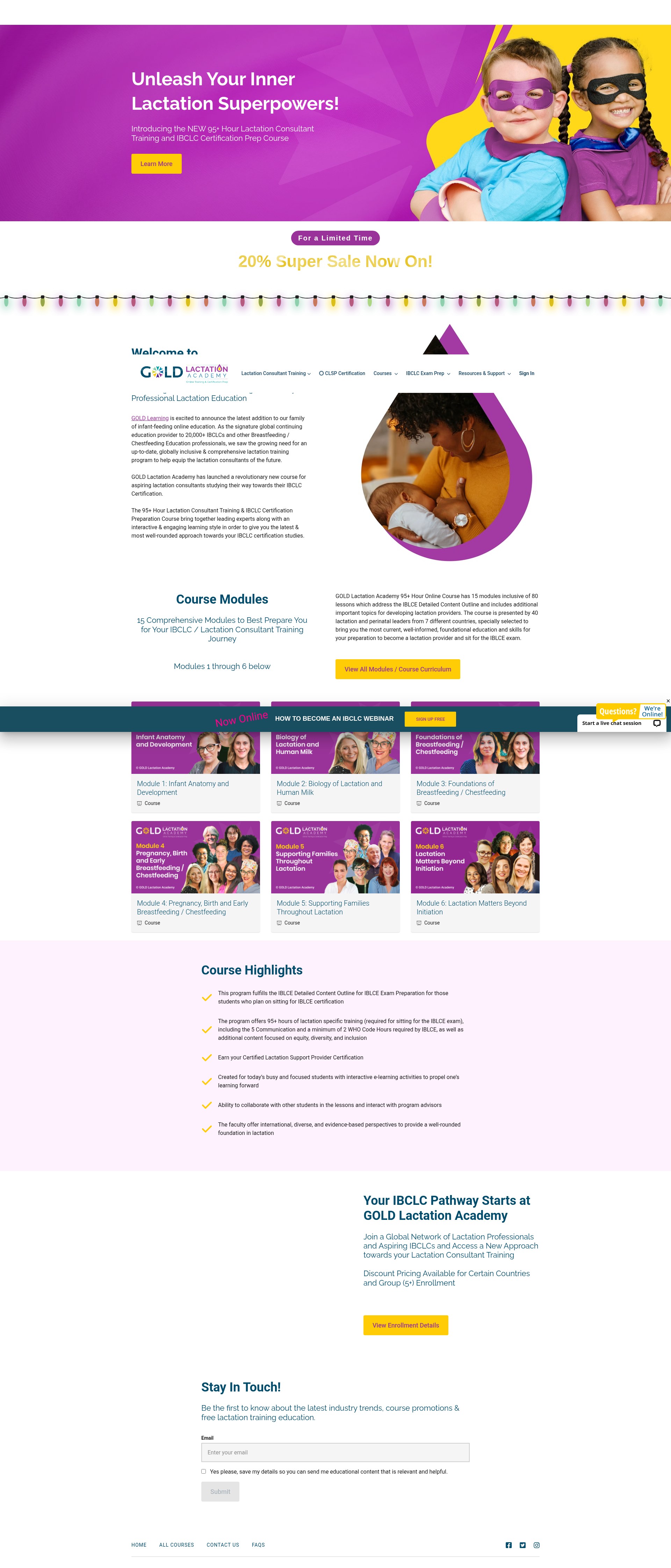 Screenshot of www.lactationacademy.com
