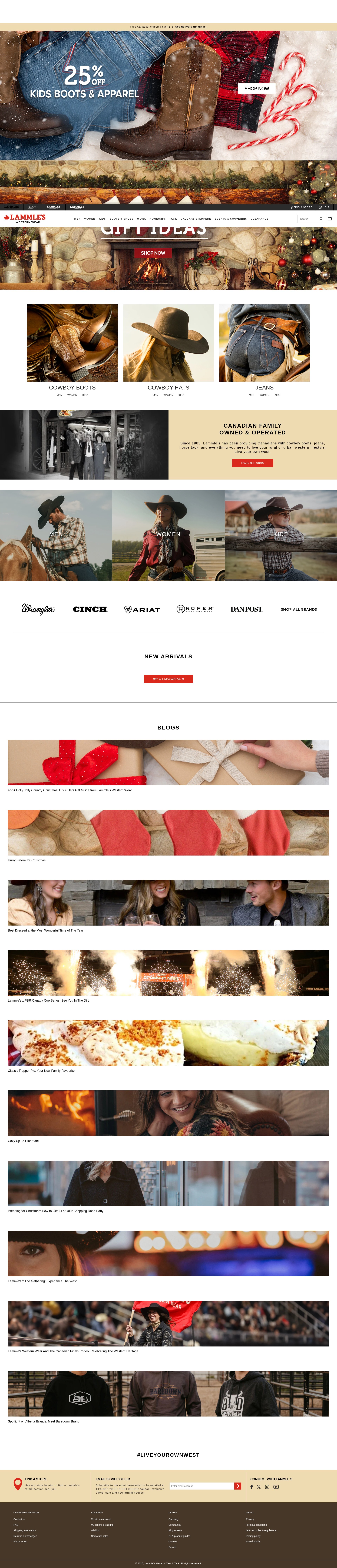 Screenshot of www.lammles.com