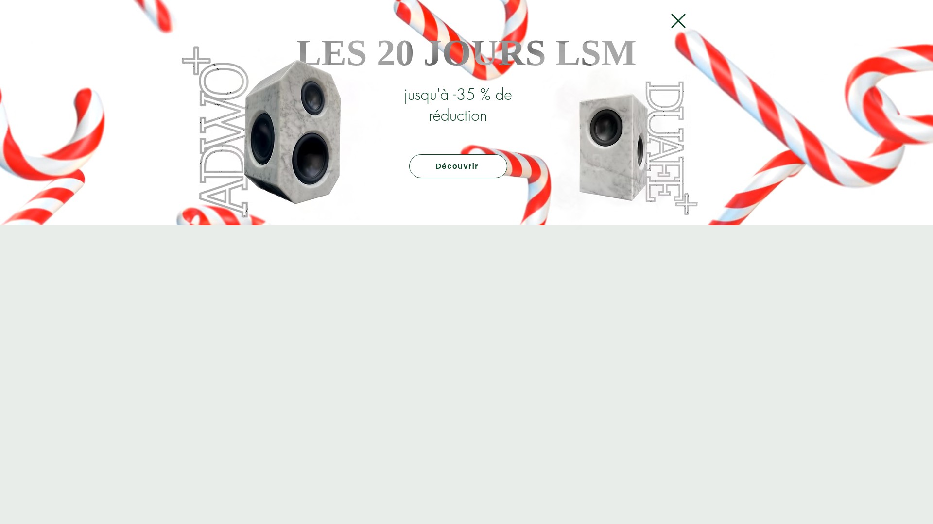 Screenshot of www.lesondumarbre.com