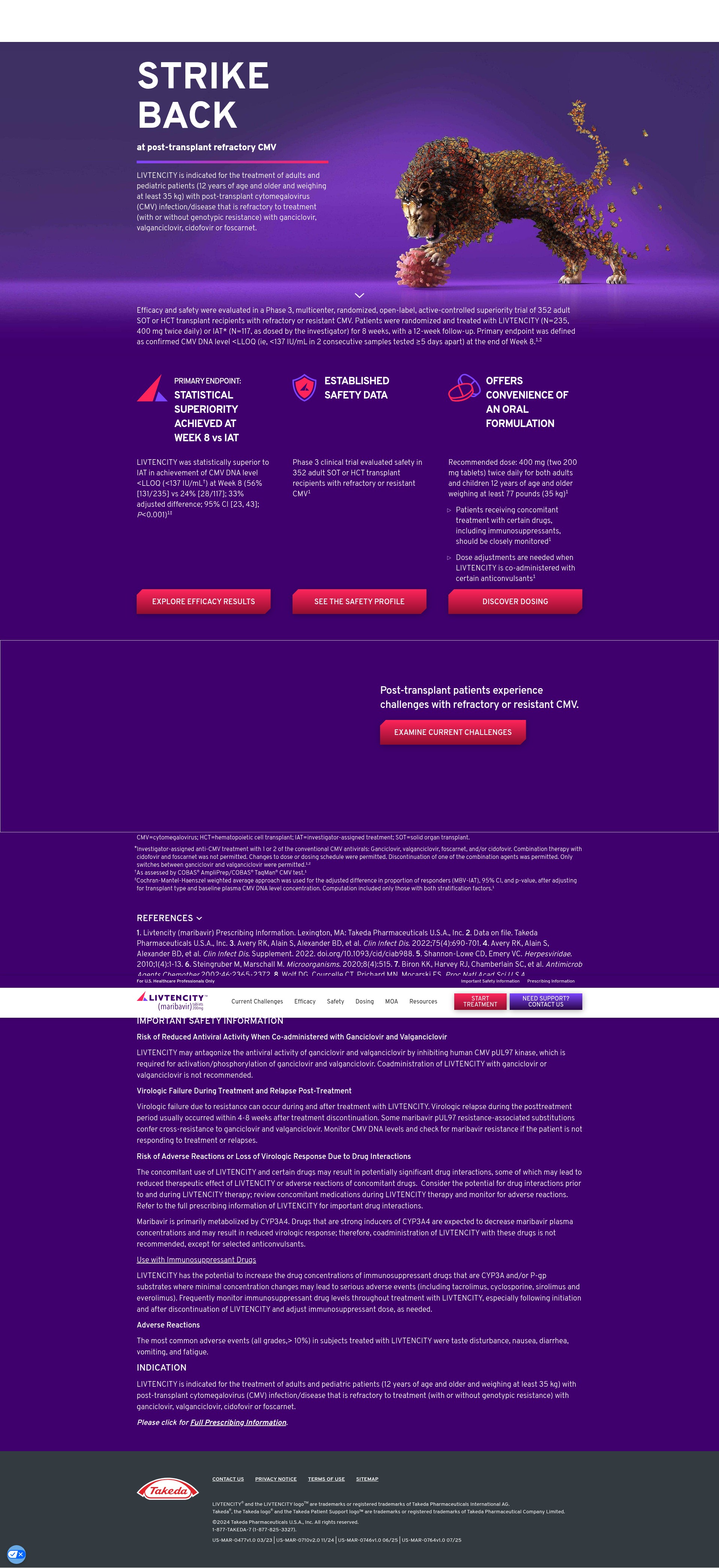 Screenshot of www.livtencity.com