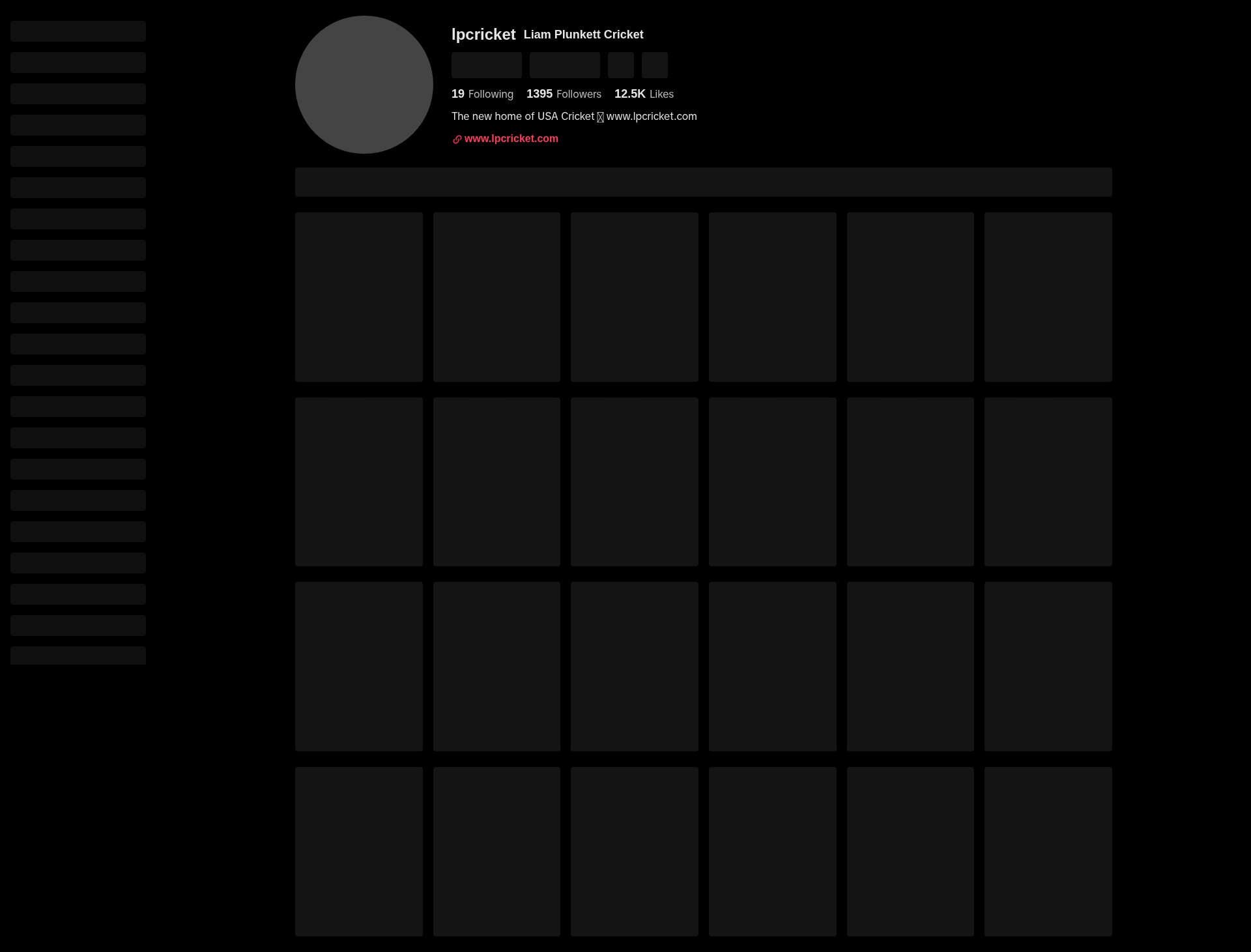 Screenshot of www.lpcricket.com