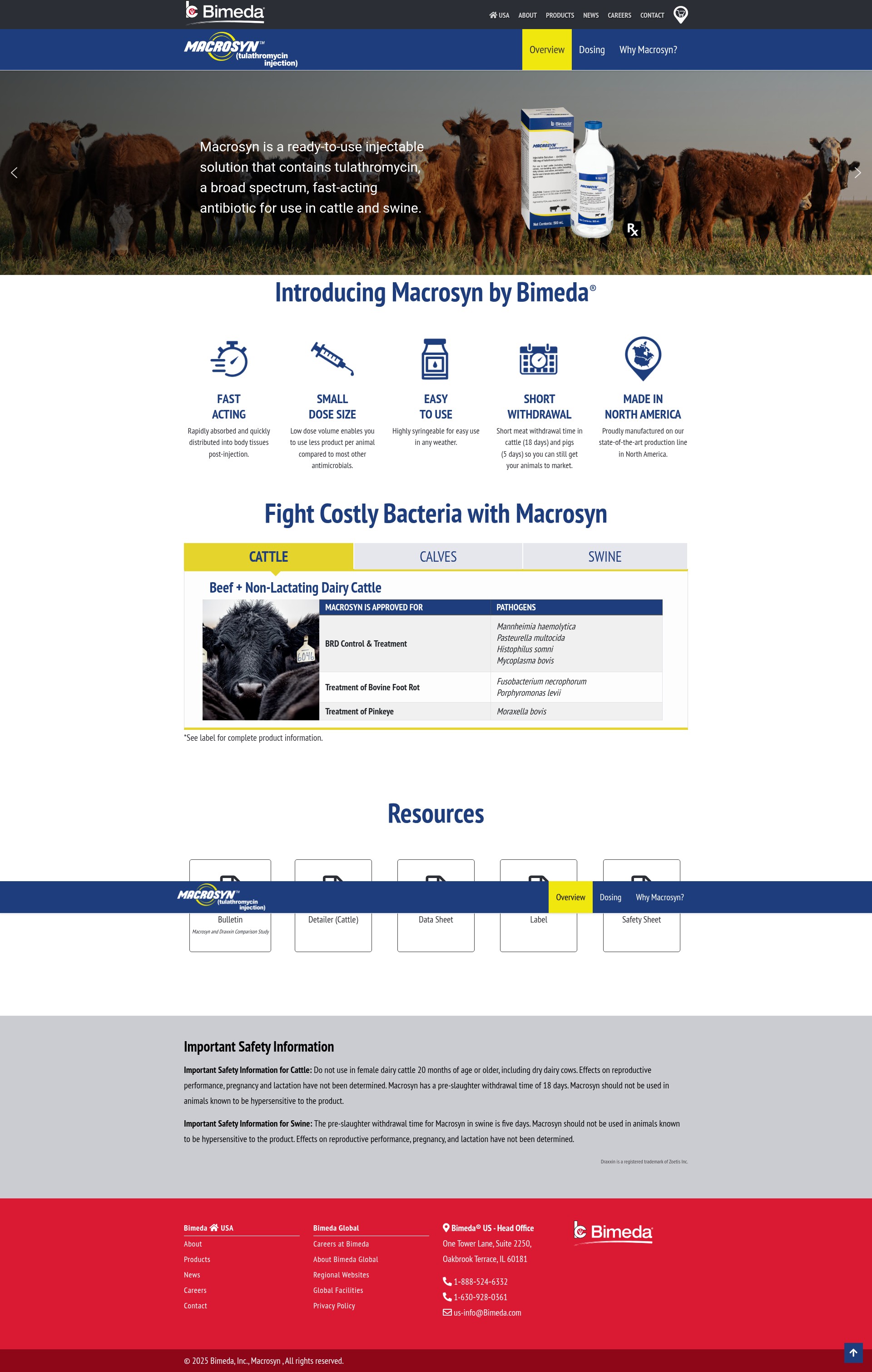 Screenshot of www.macrosyn.com