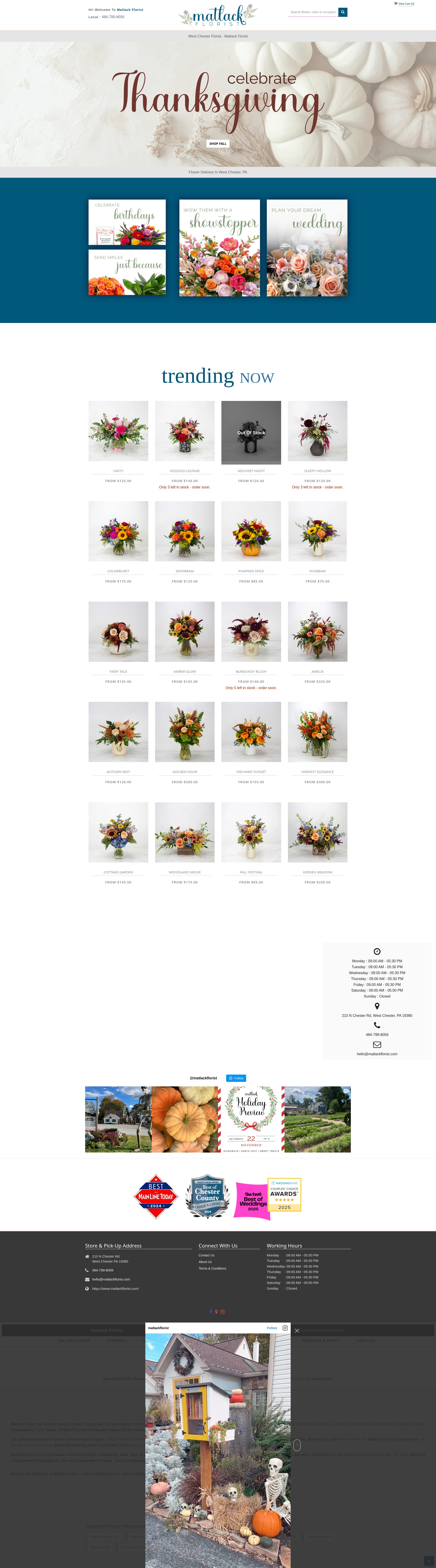 Screenshot of www.matlackflorist.com