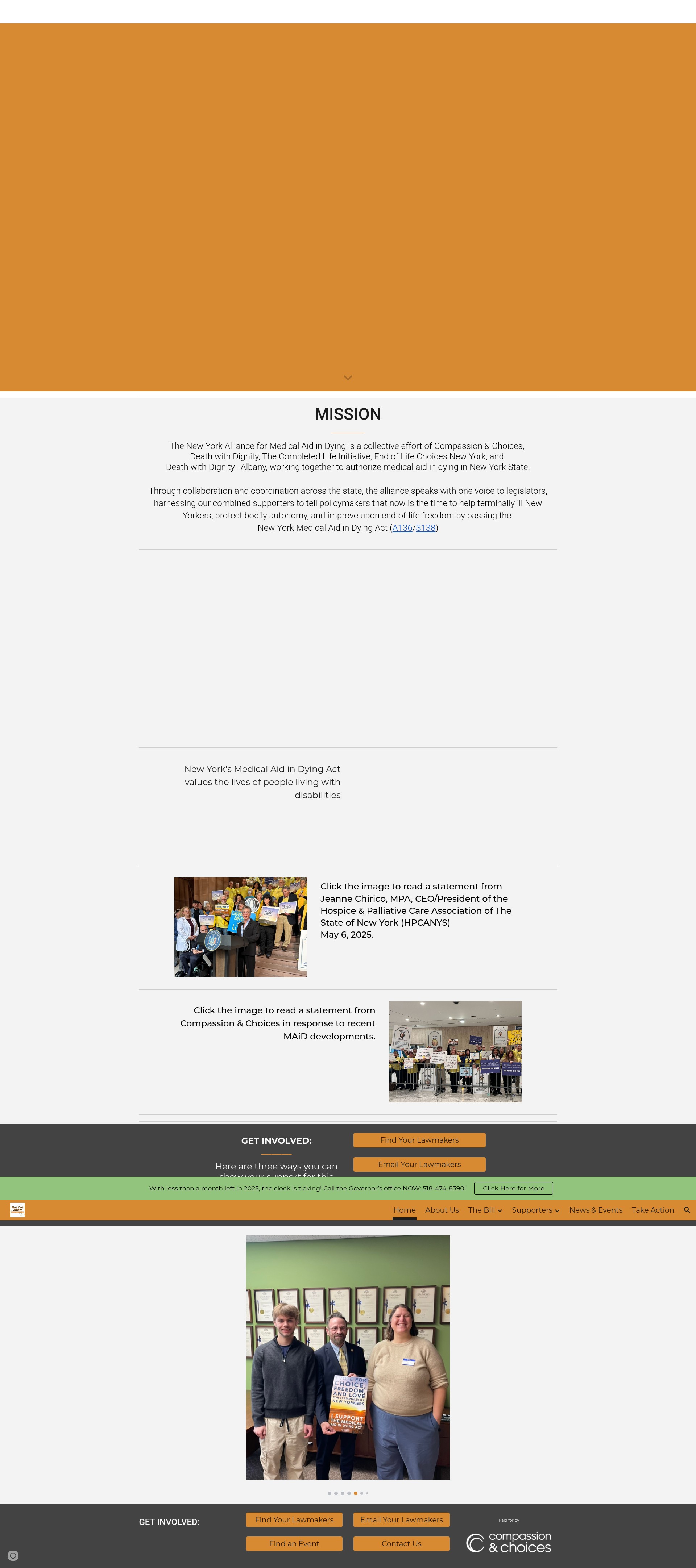 Screenshot of www.medicalaidindyingny.org