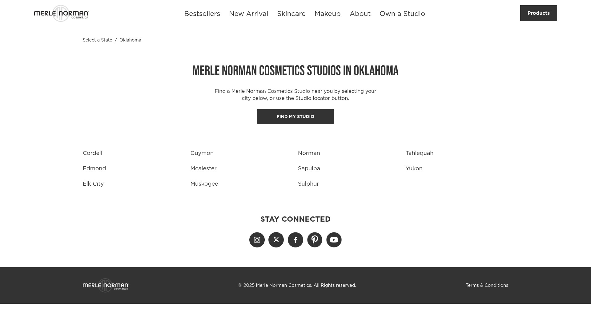 Screenshot of www.merlenormanstudio.com