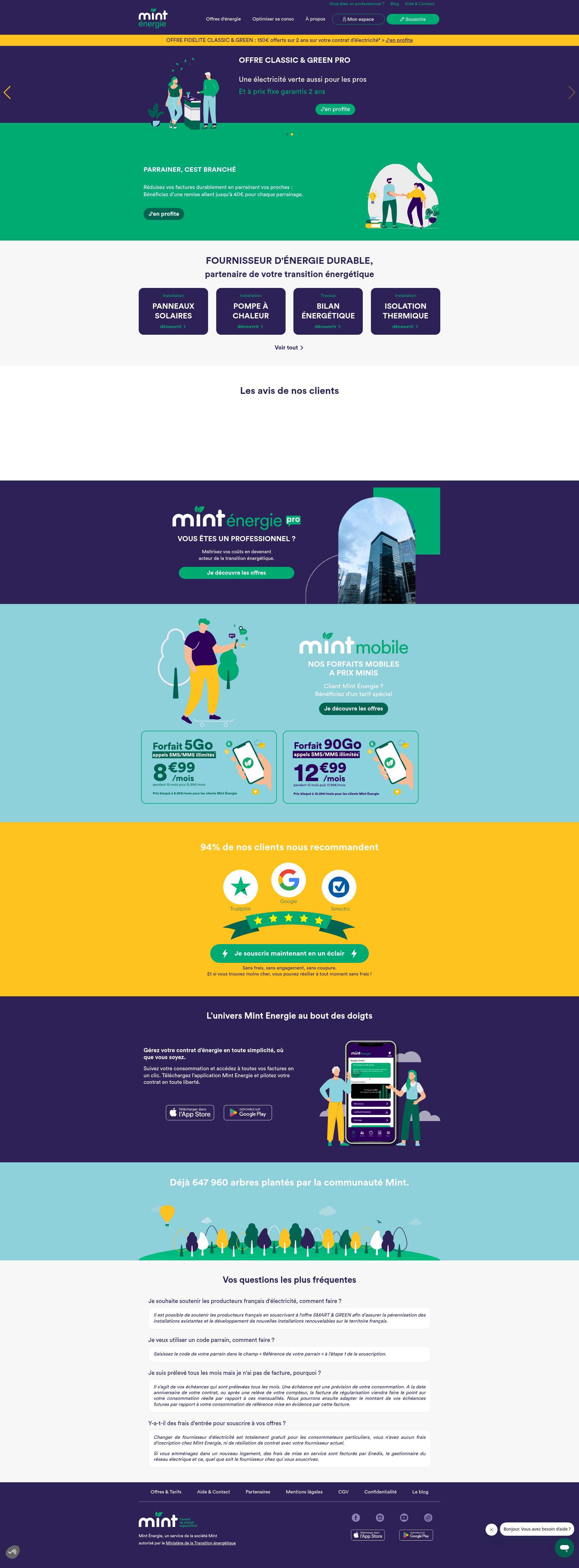 Screenshot of www.mint-energie.com