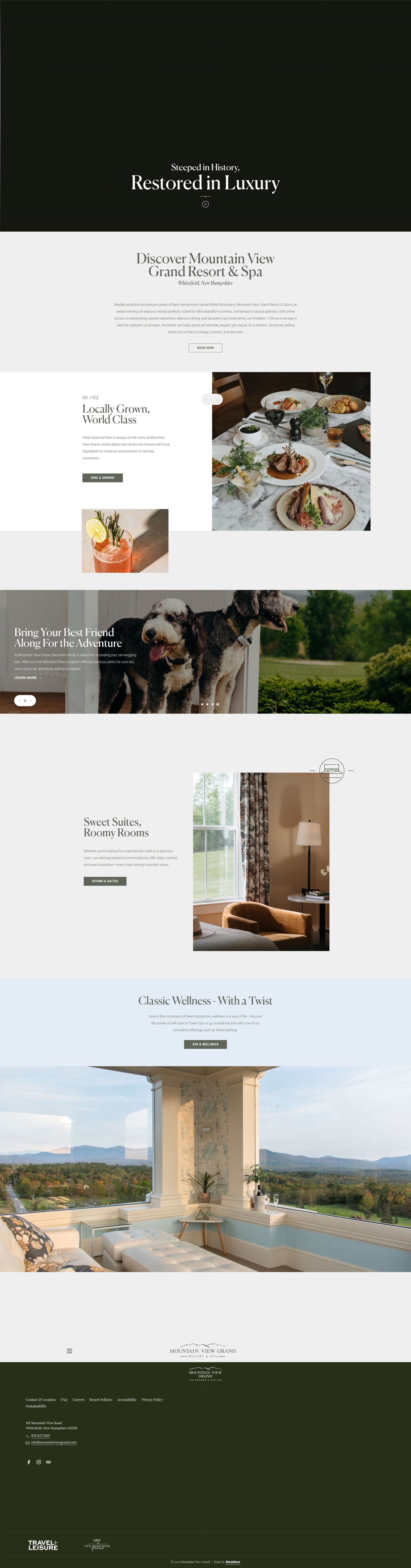 Screenshot of www.mountainviewgrand.com