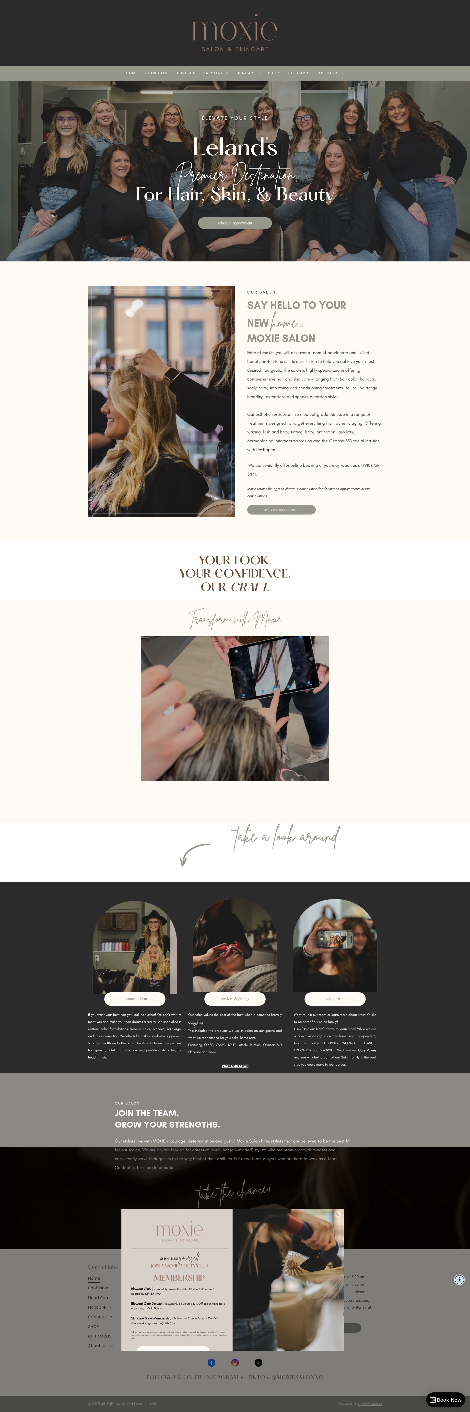 Screenshot of www.moxiesalonleland.com