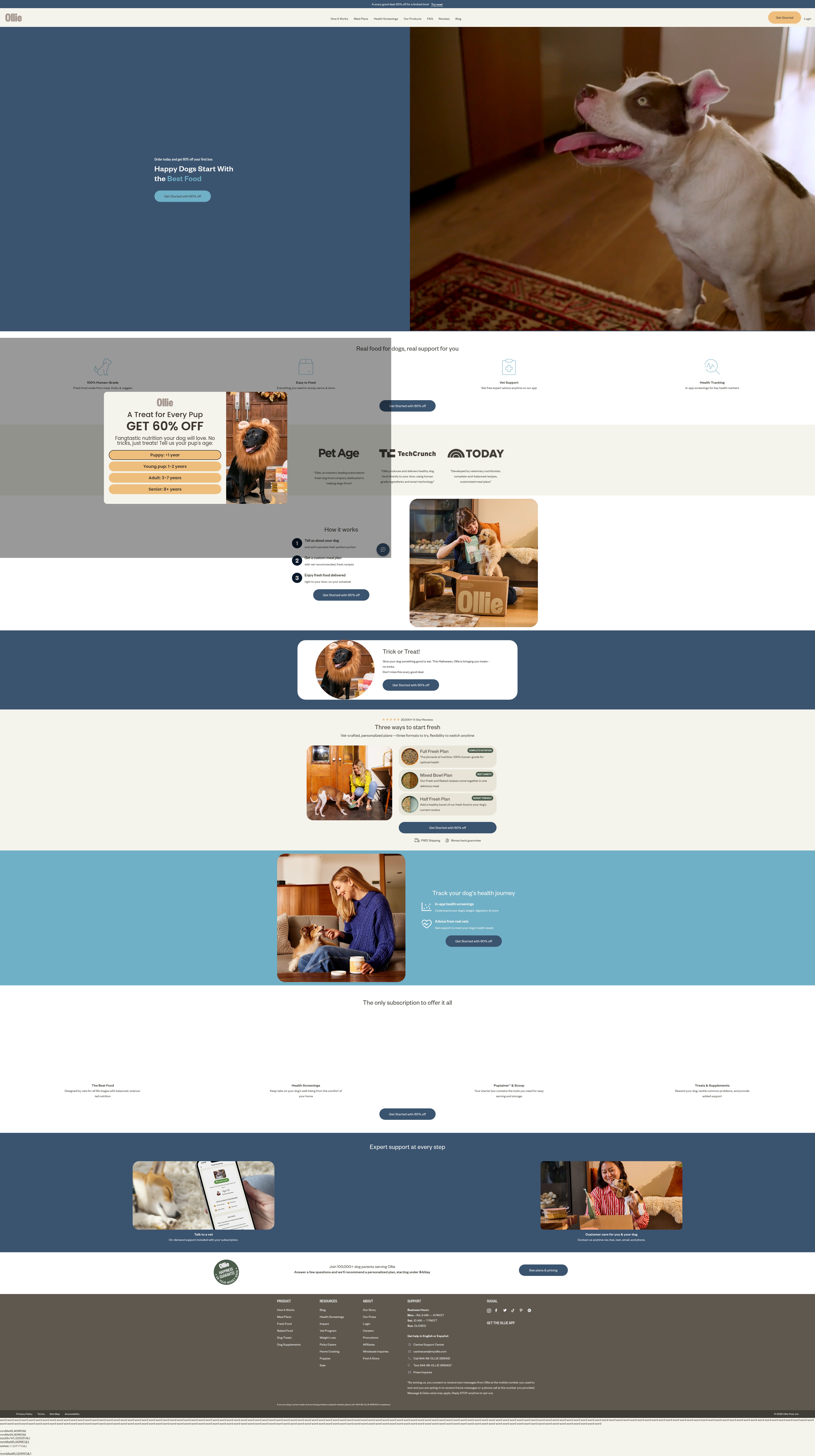Screenshot of www.myollie.com