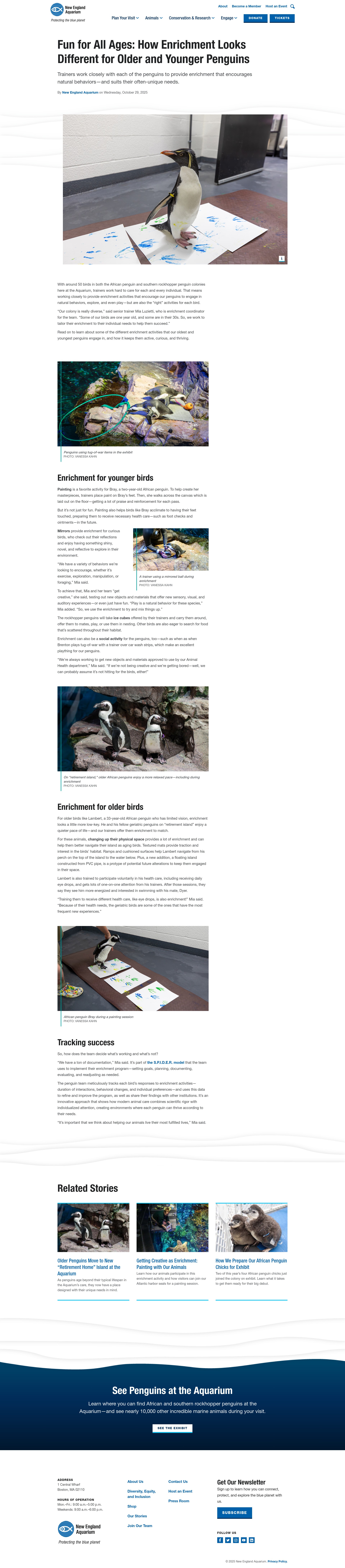Screenshot of www.neaq.org
