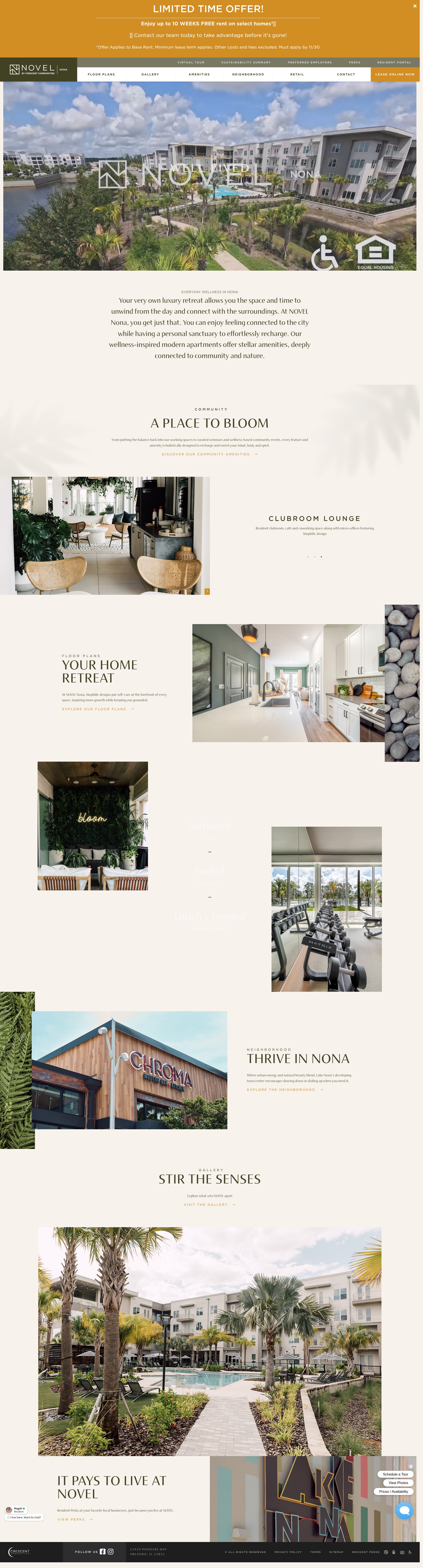 Screenshot of www.novelnona.com