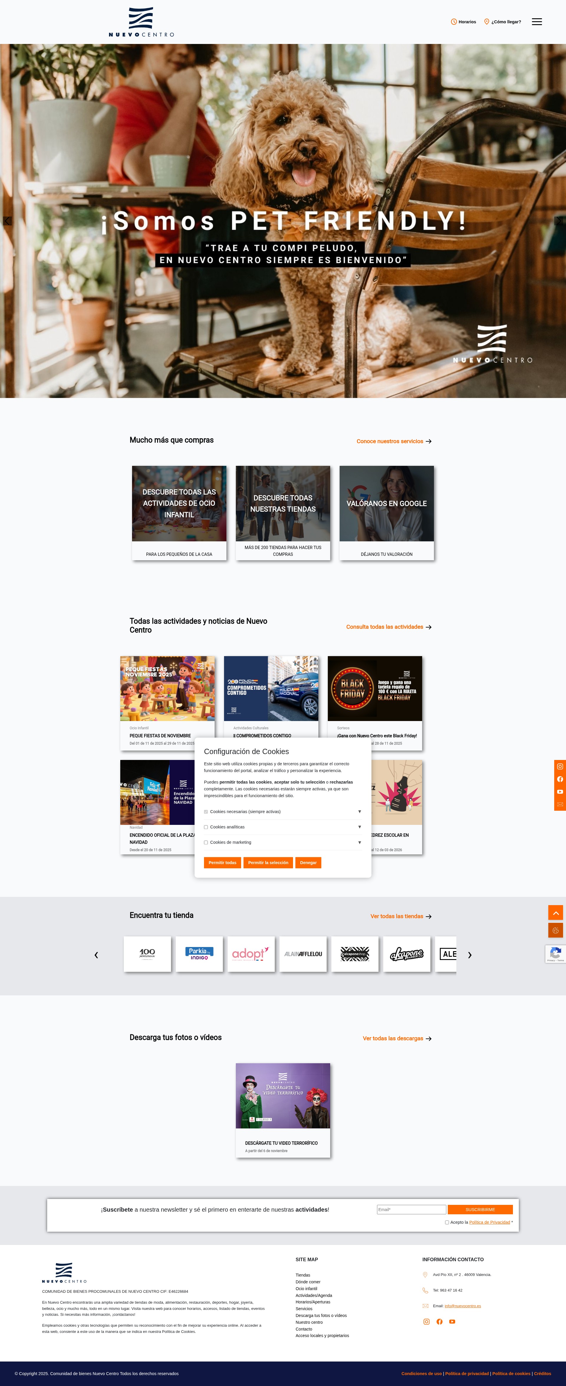 Screenshot of www.nuevocentro.es