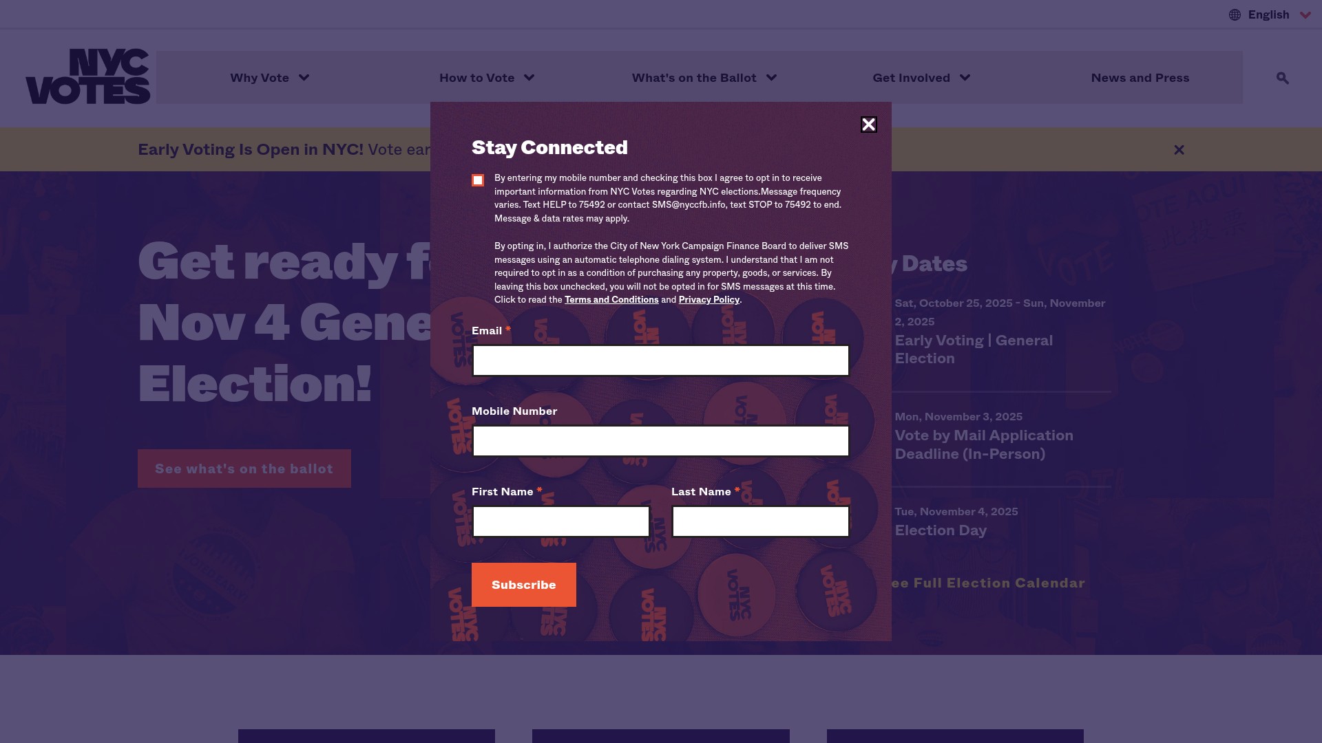 Screenshot of www.nycvotes.org