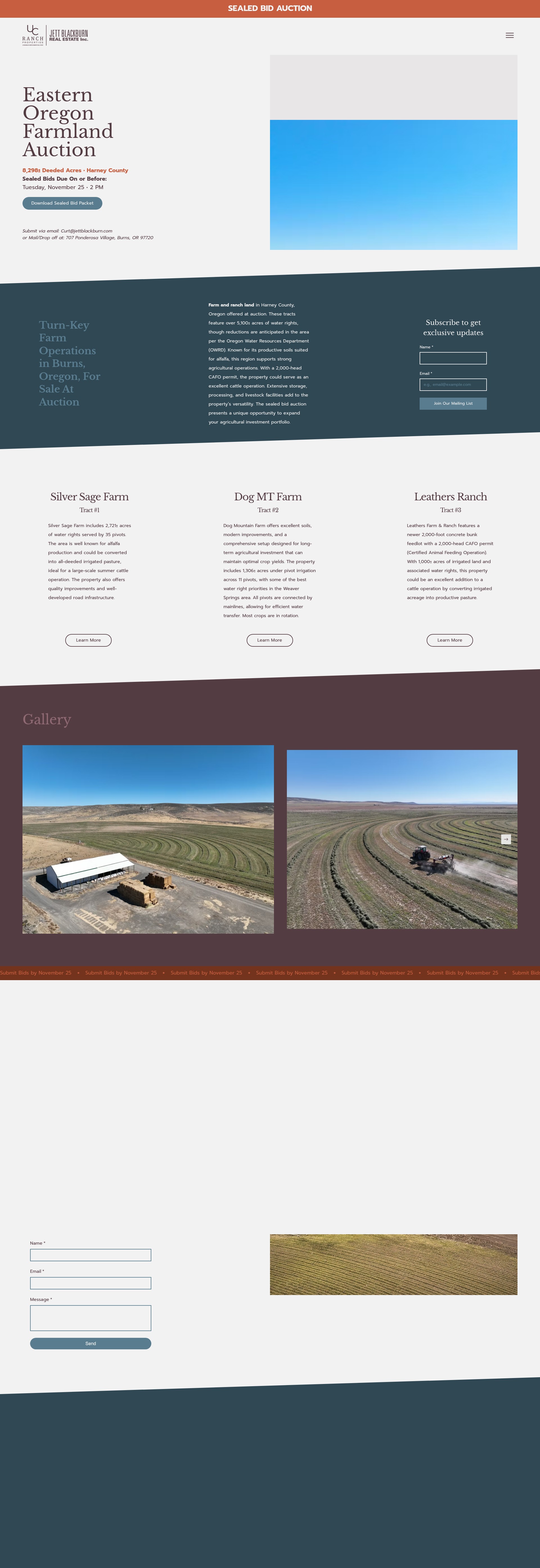 Screenshot of www.orlandauction.com
