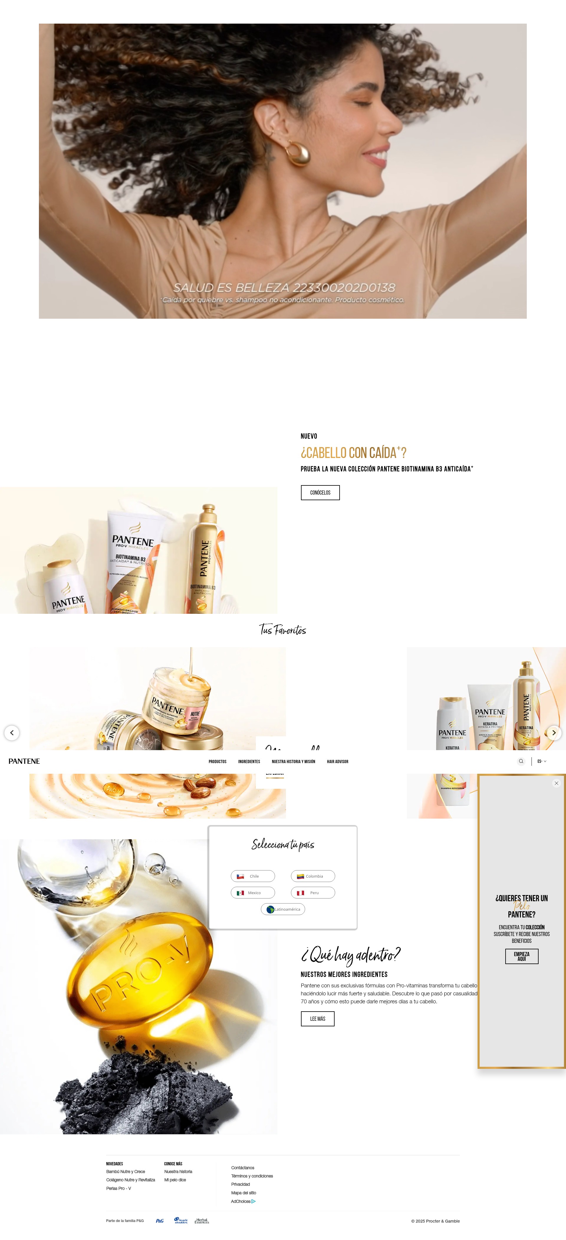 Screenshot of www.pantenela.com