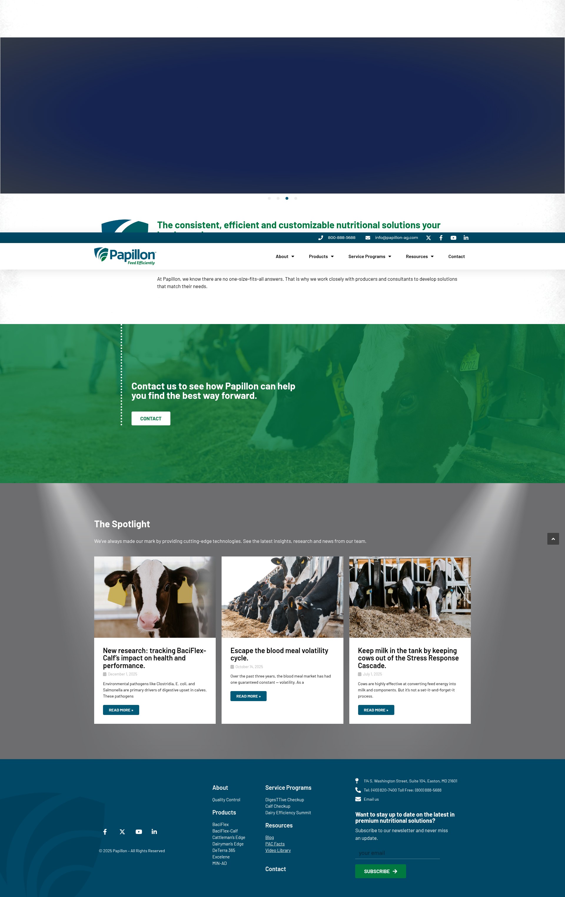 Screenshot of www.papillon-ag.com
