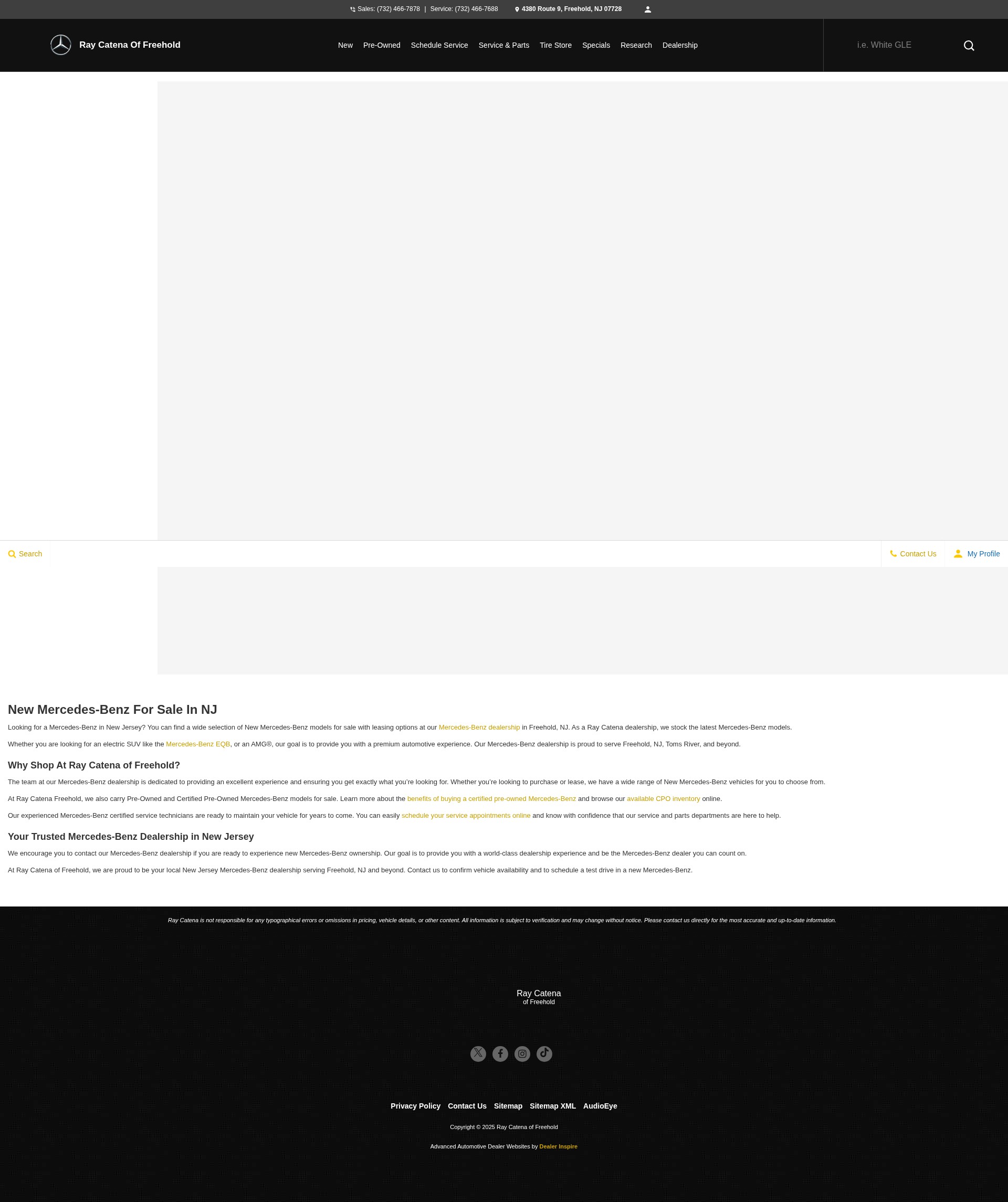 Screenshot of www.raycatenafreehold.com