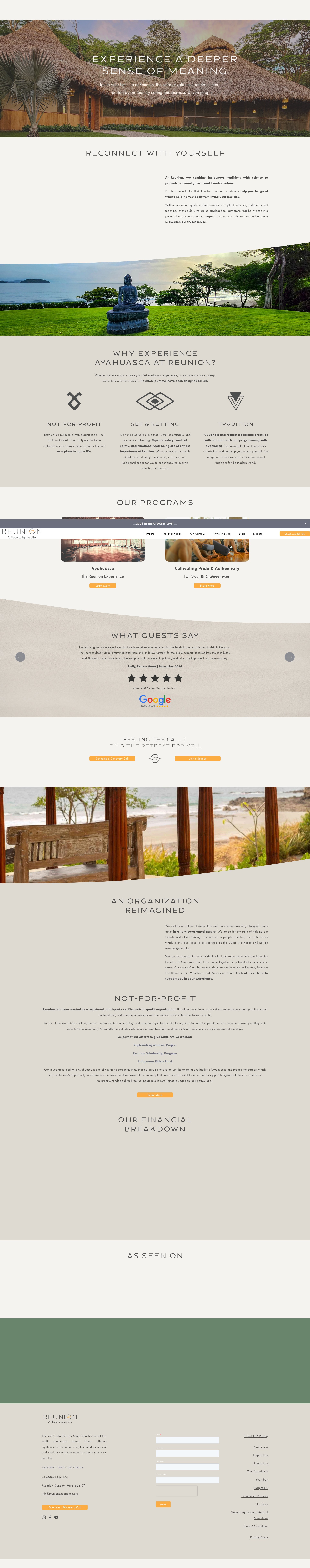 Screenshot of www.reunionexperience.org