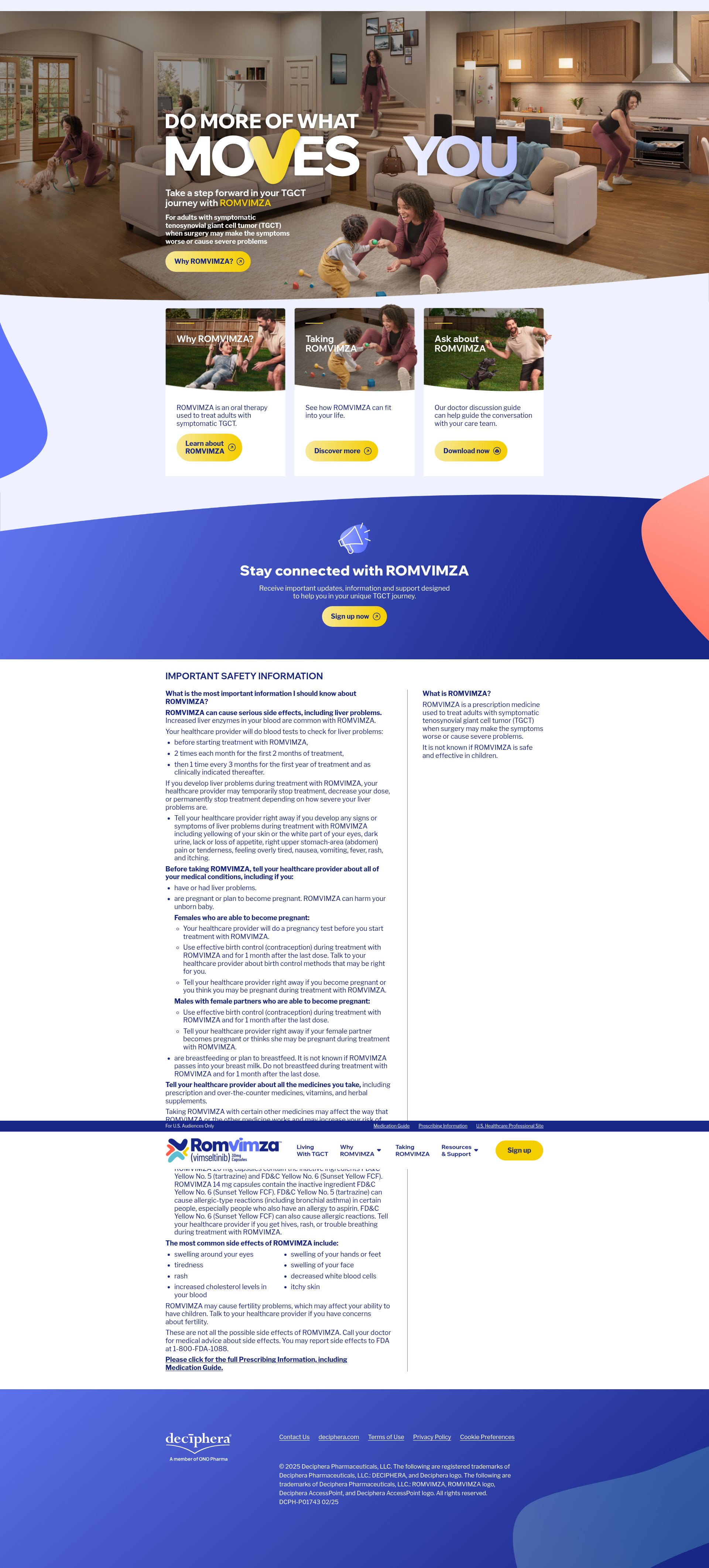 Screenshot of www.romvimza.com