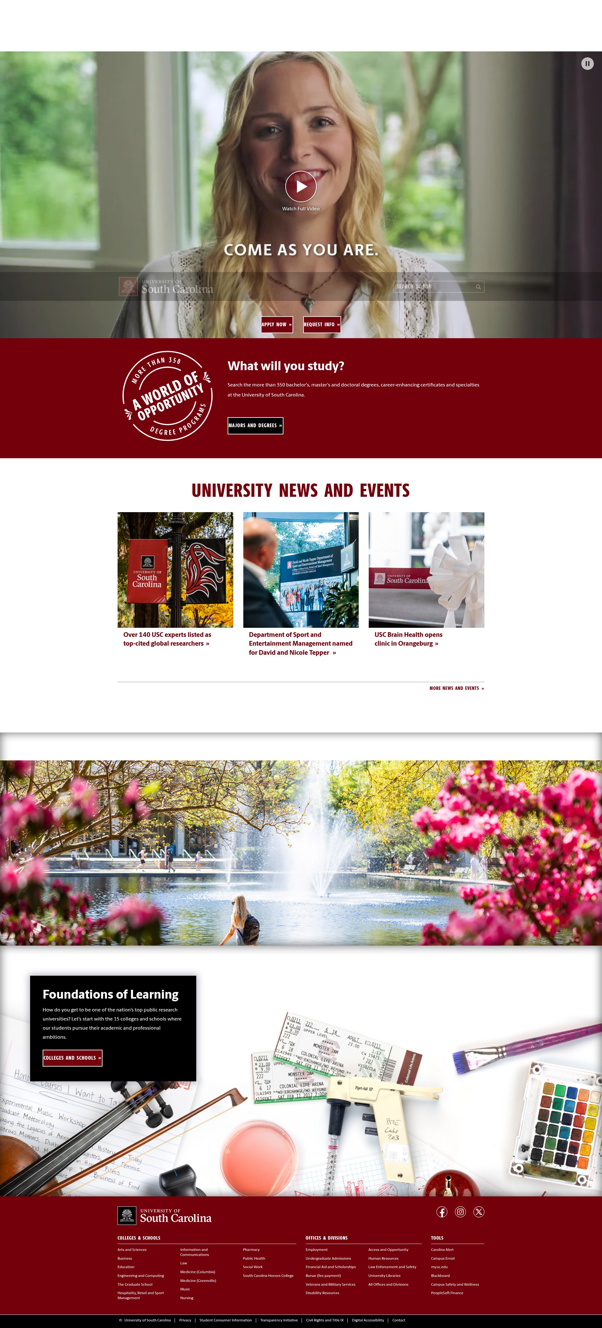 Screenshot of www.sc.edu