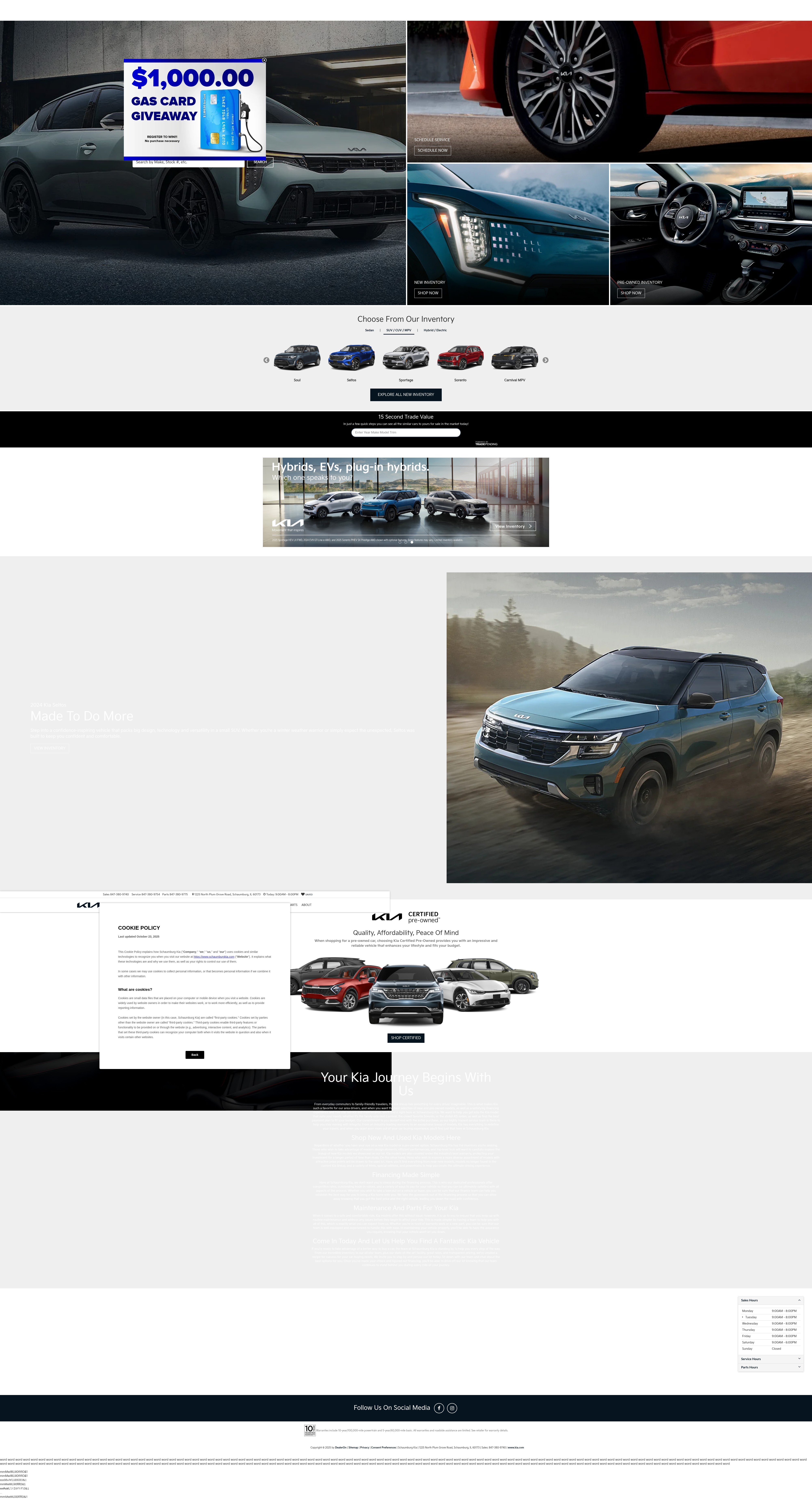 Screenshot of www.schaumburgkia.com