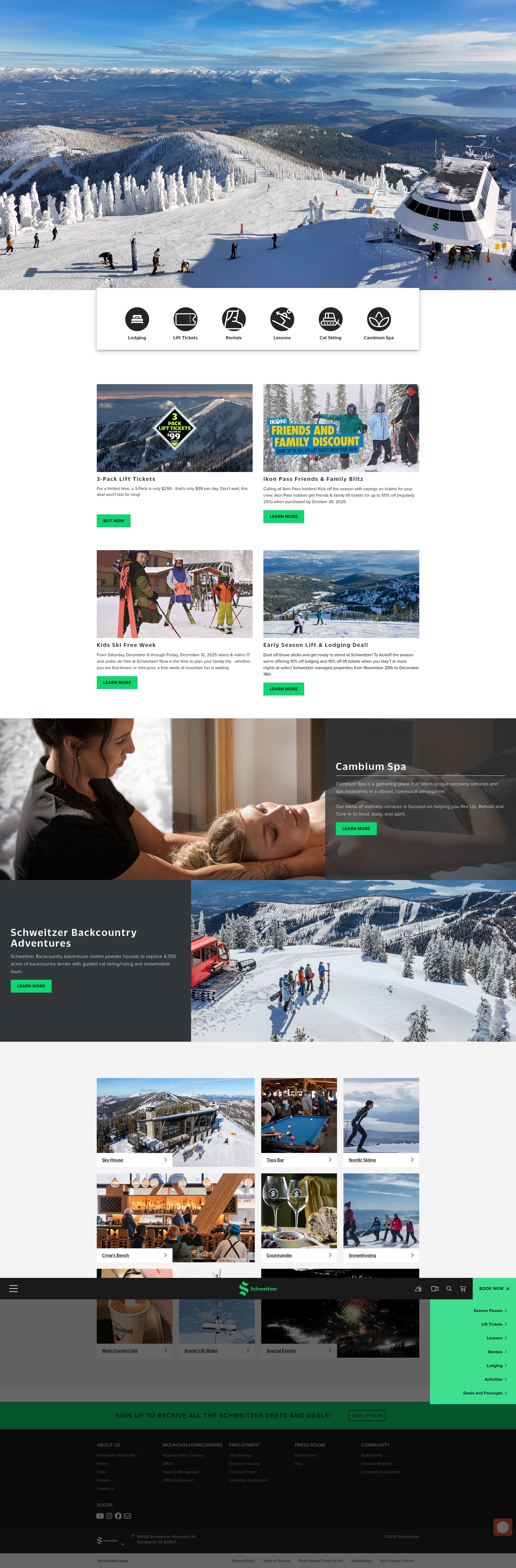 Screenshot of www.schweitzer.com