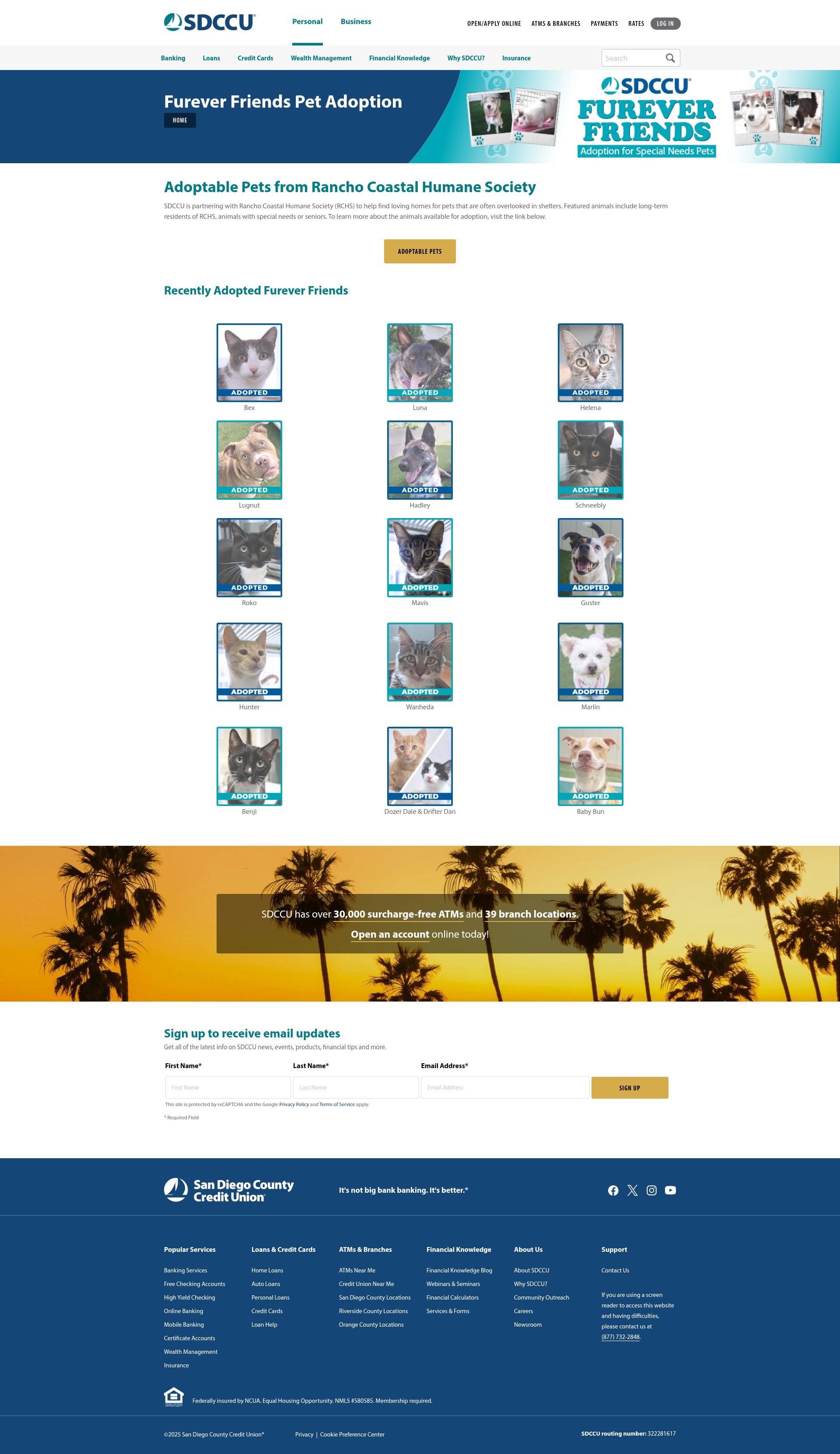 Screenshot of www.sdccu.com