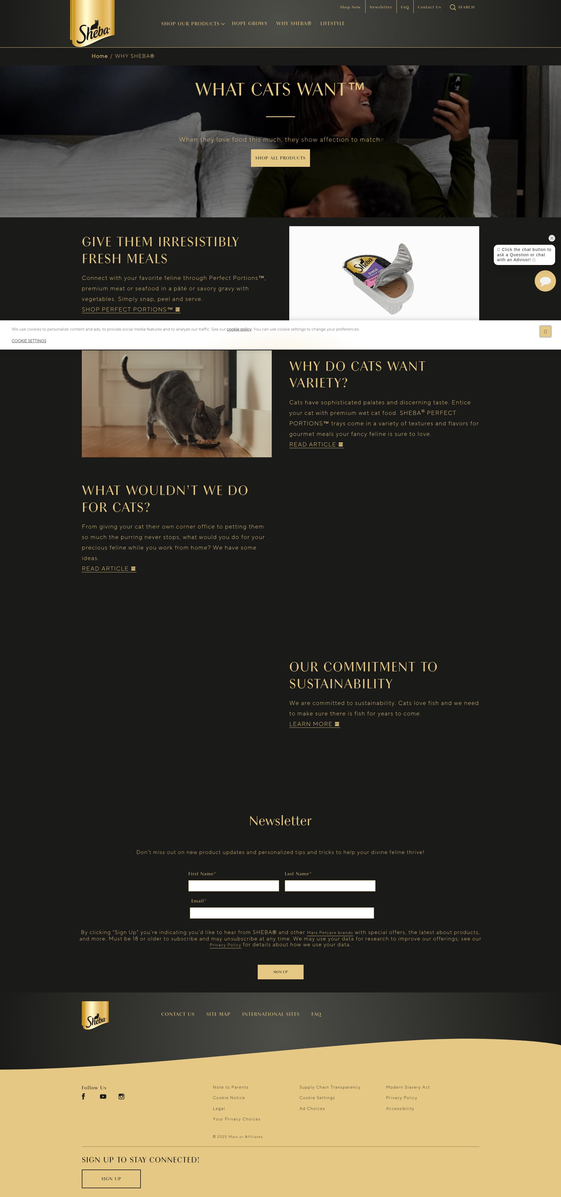 Screenshot of www.sheba.com