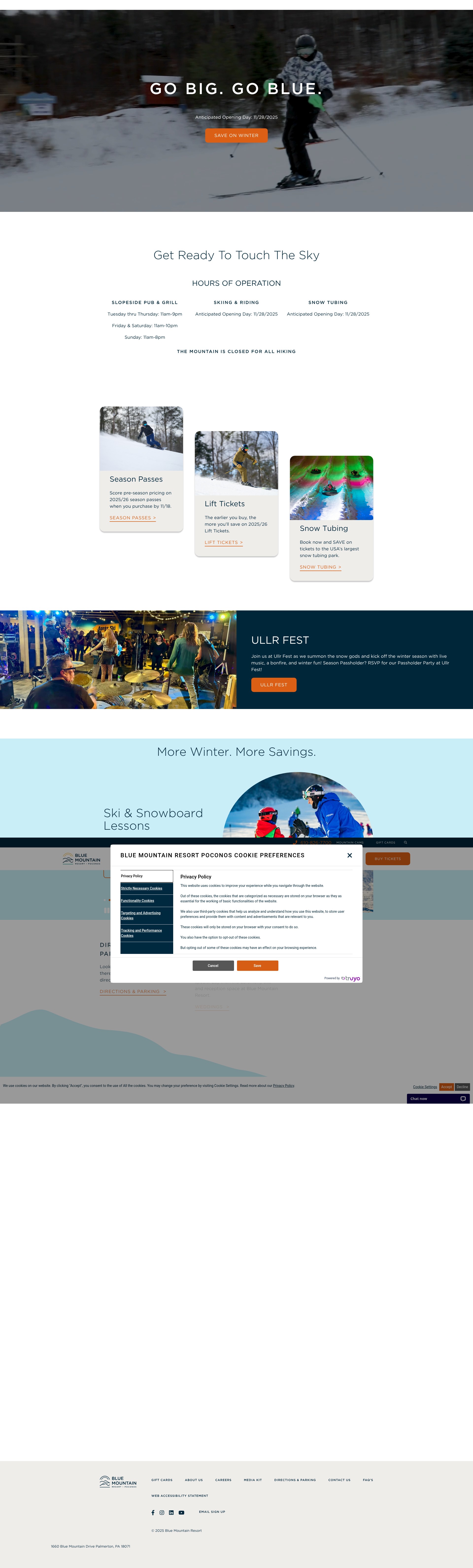 Screenshot of www.skibluemt.com