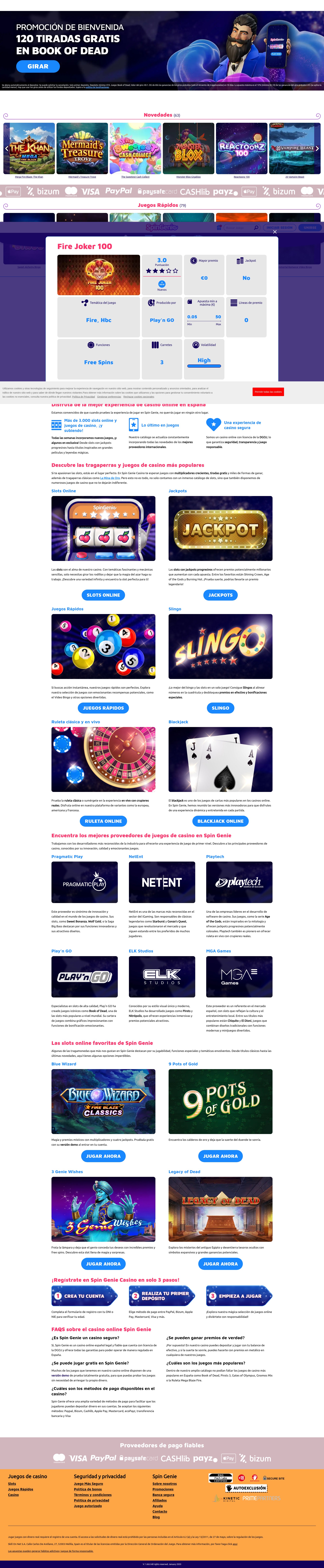 Screenshot of www.spingenie.es