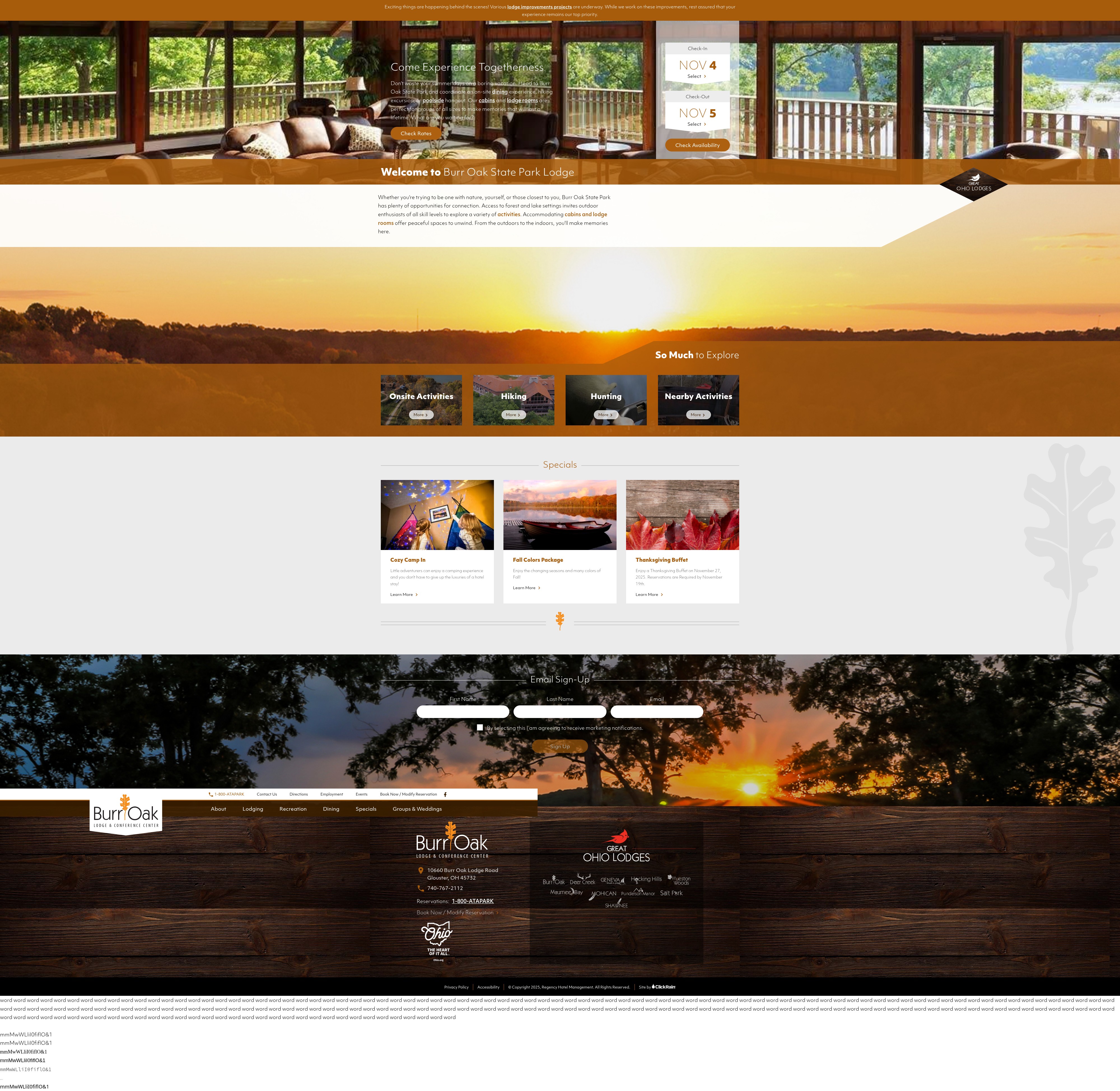 Screenshot of www.stayburroak.com