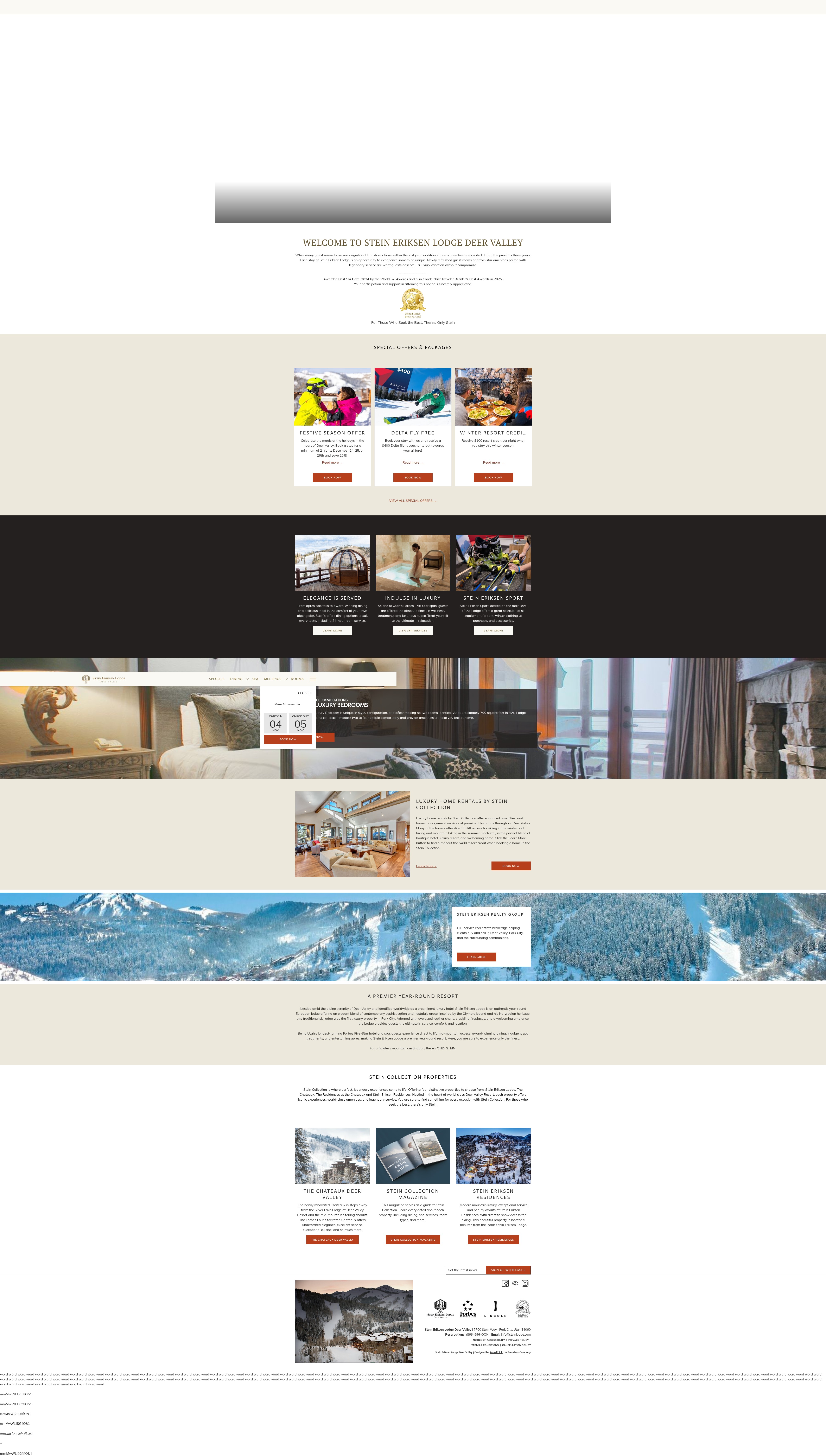 Screenshot of www.steinlodge.com