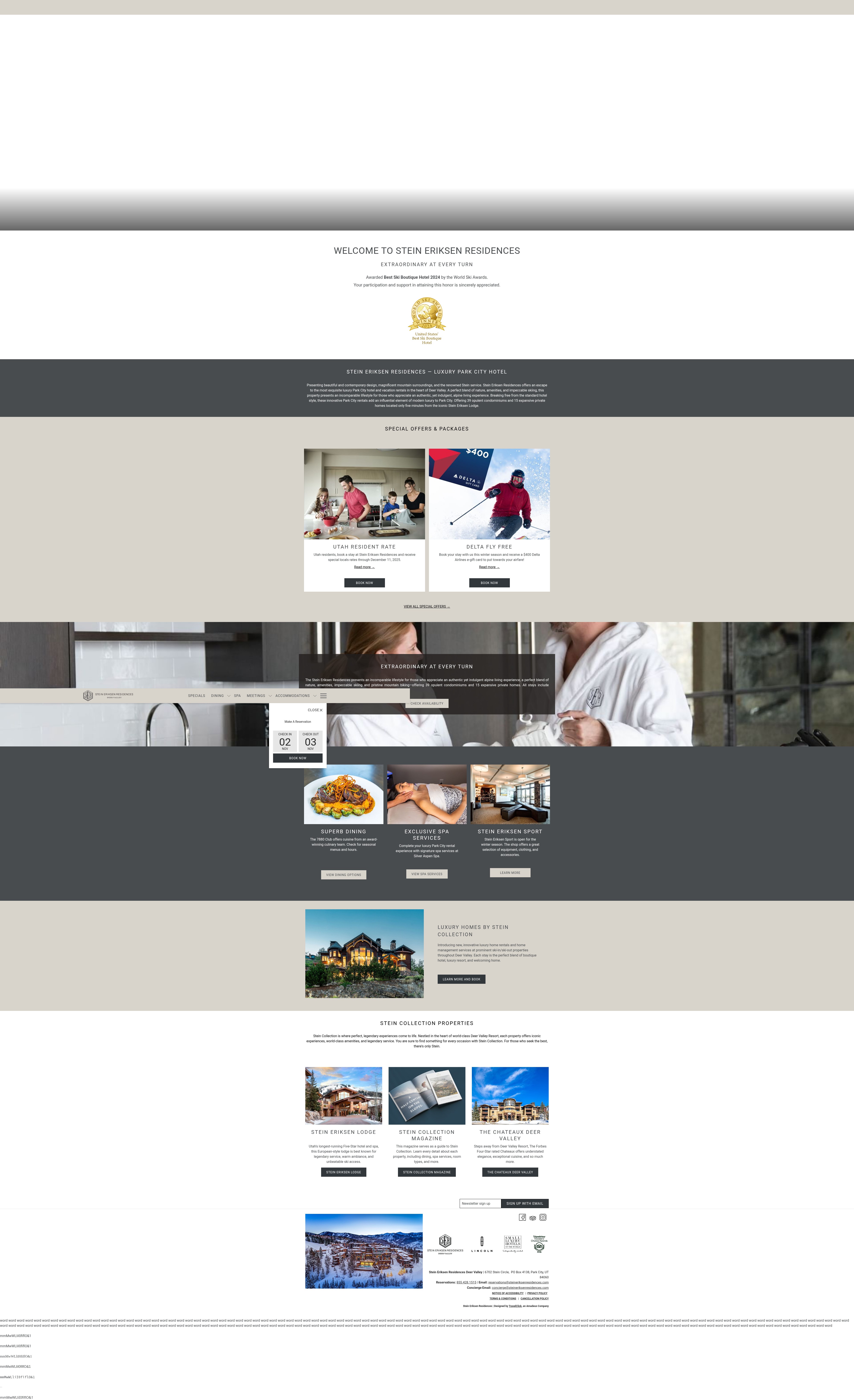 Screenshot of www.steinres.com